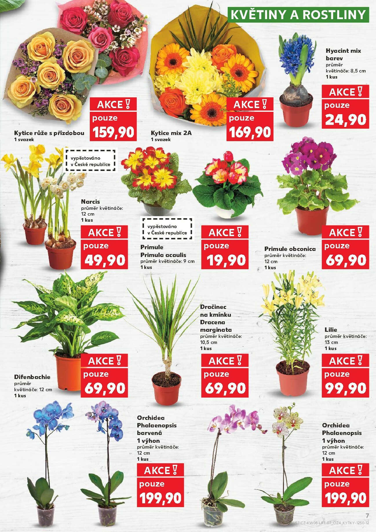 kaufland - Kaufland - Ostrava leták platný od středy 18.02.2026 do úterý 24.02.2026 - page: 7