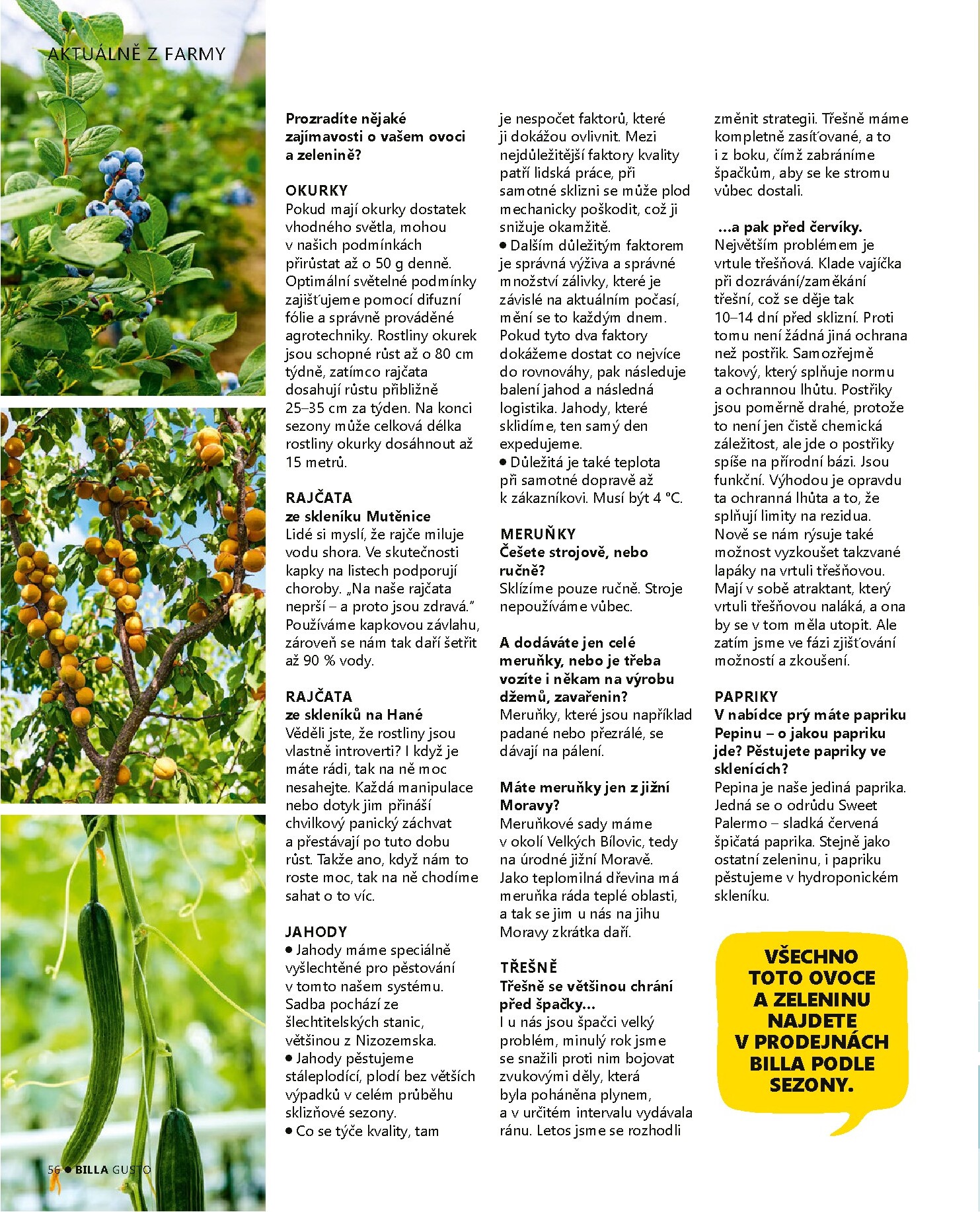 billa - Aktuální Billa - Gusto magazín leták platný od pondělí 01.06.2026 do úterý 30.06.2026 - page: 56