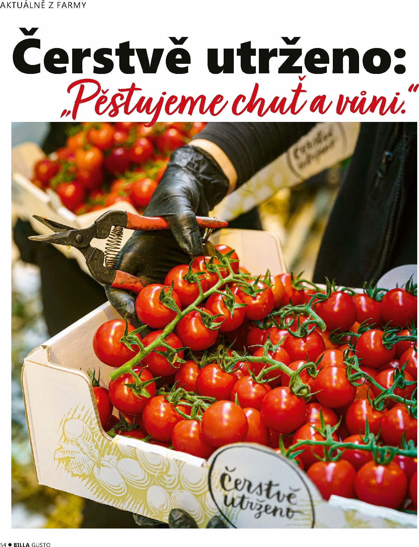 billa - Aktuální Billa - Gusto magazín leták platný od pondělí 01.06.2026 do úterý 30.06.2026 - page: 54