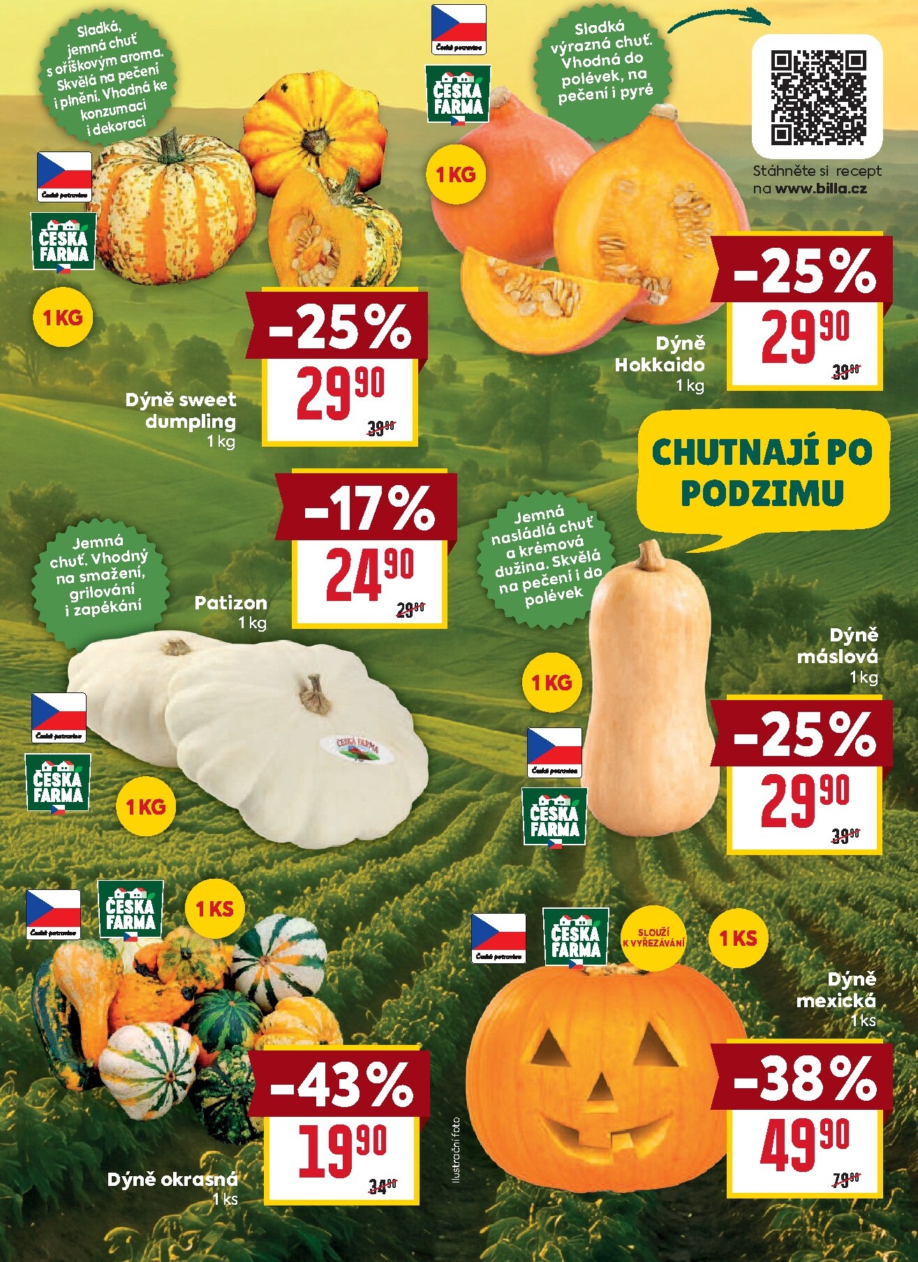 billa - Budoucí Billa leták platný od středy 21.10.2026 do úterý 27.10.2026 - page: 10