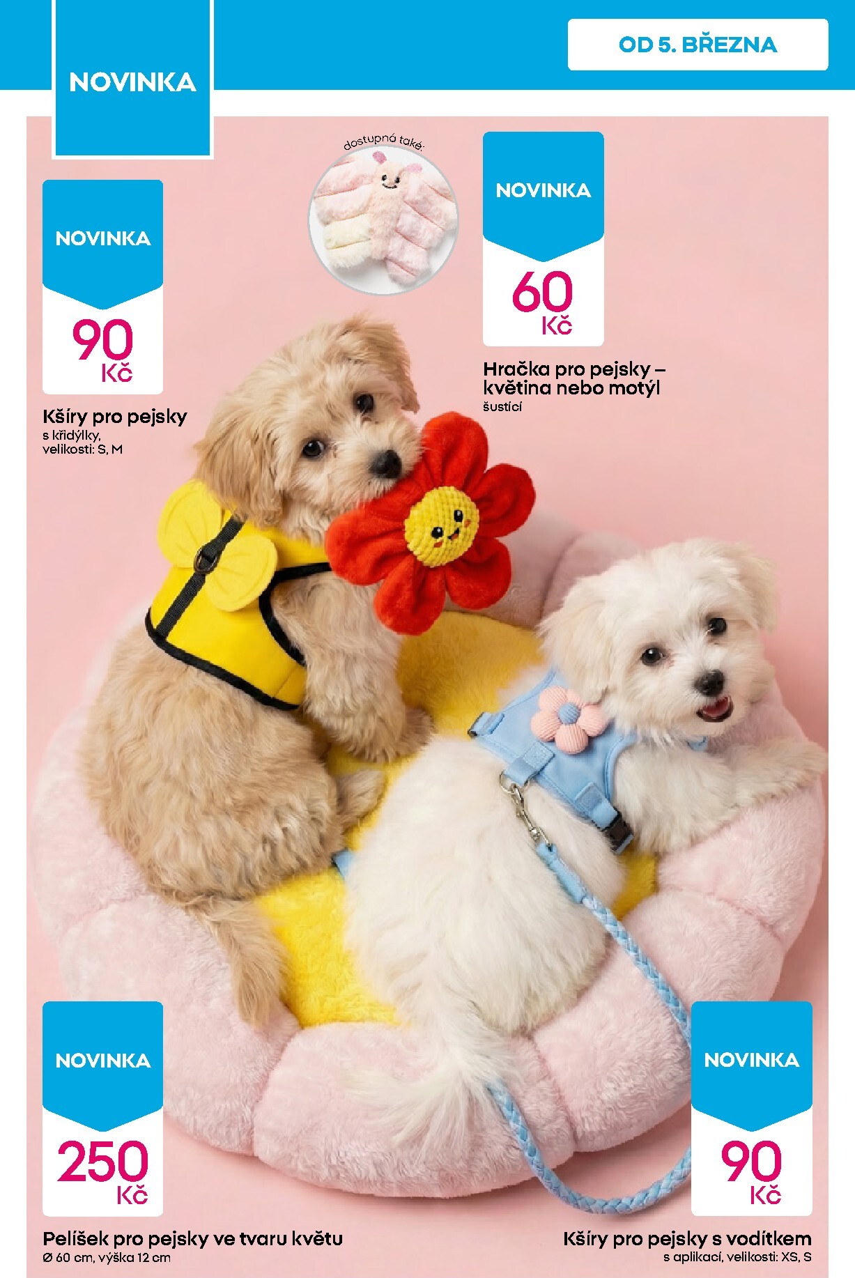 pepco - Pepco leták platný od čtvrtka 05.03.2026 do středy 11.03.2026 - page: 10