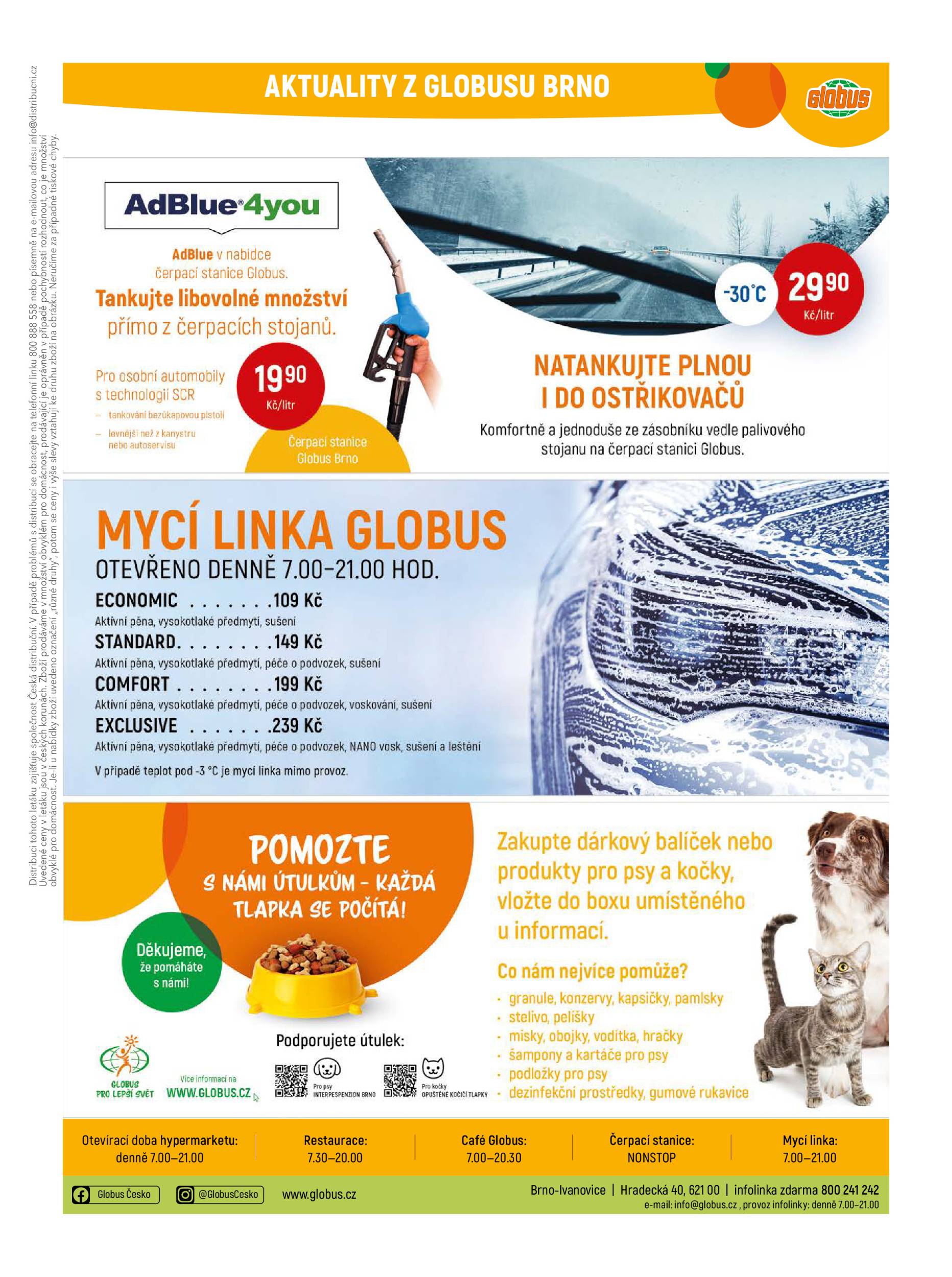 globus - Globus - Brno leták platný od 28.01. do 03.02. - page: 31