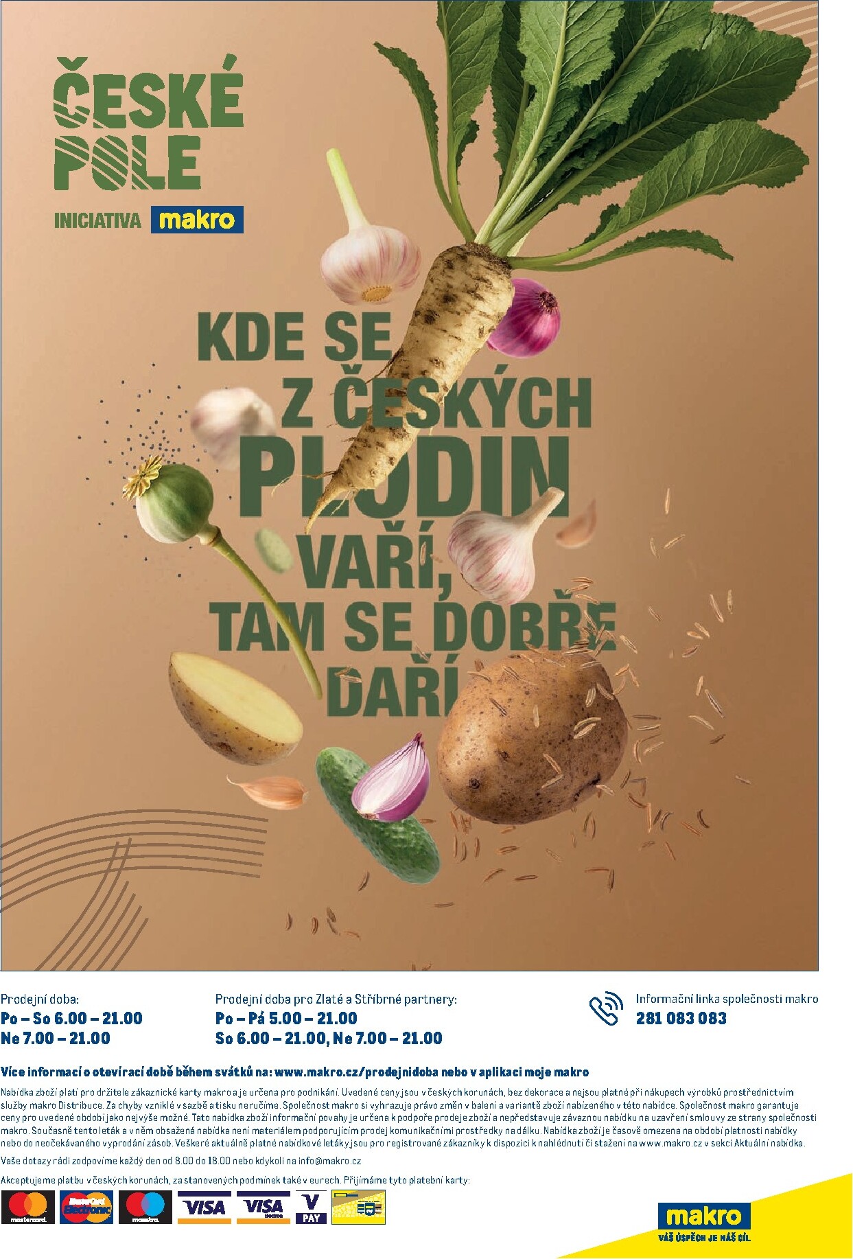makro - Makro - Pro milovníky jídla leták platný od středy 25.02.2026 do úterý 10.03.2026 - page: 25