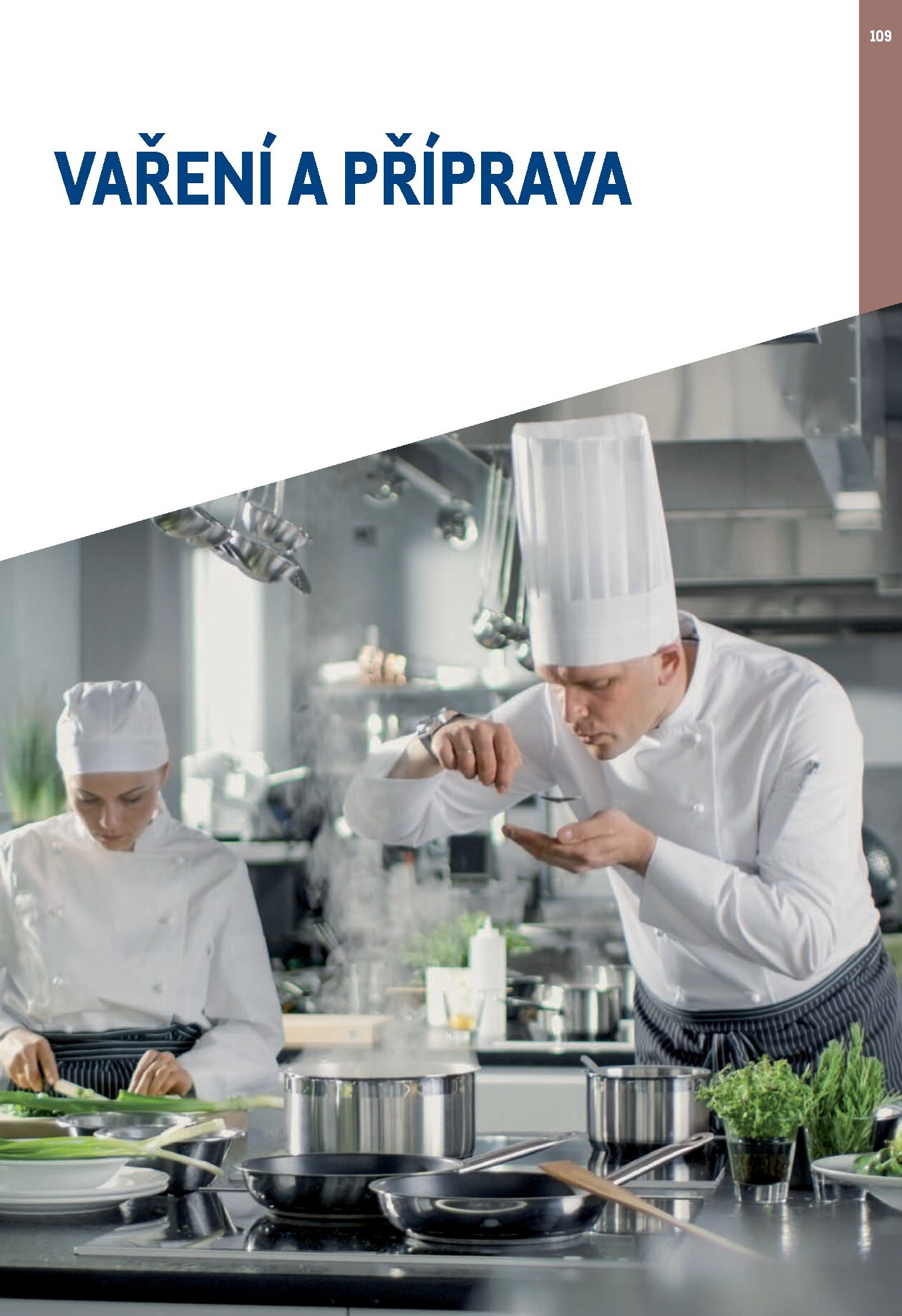 makro - Makro - Gastro vybavení a zařízení leták platný od neděle 01.02.2026 do neděle 31.01.2027 - page: 109