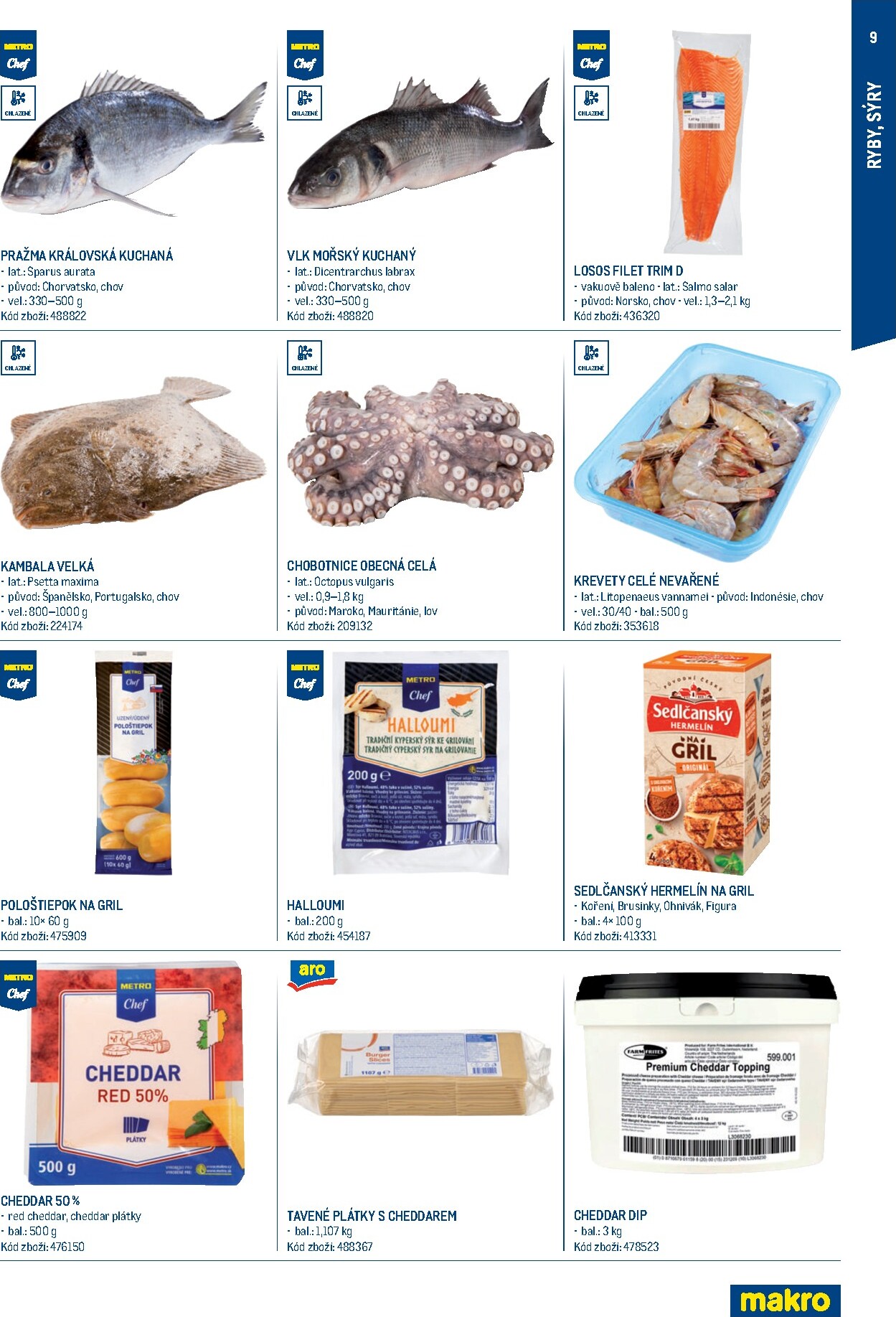 makro - Aktuální Makro - Letní sezona leták platný od čtvrtka 14.05.2026 do neděle 20.09.2026 - page: 9