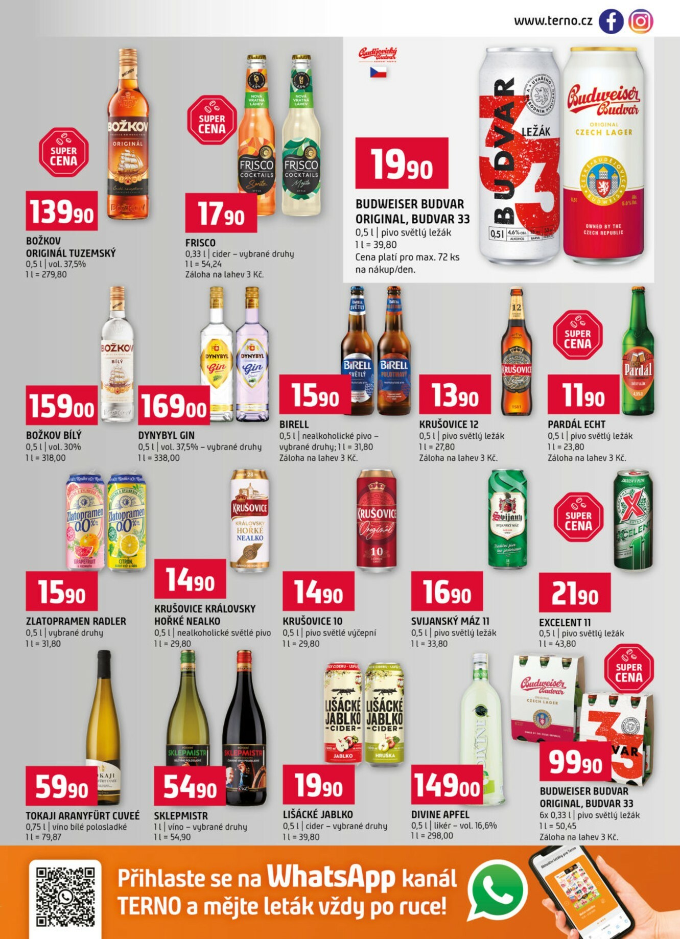 terno - Aktuální leták Terno od 07.01. do 13.01. - page: 13