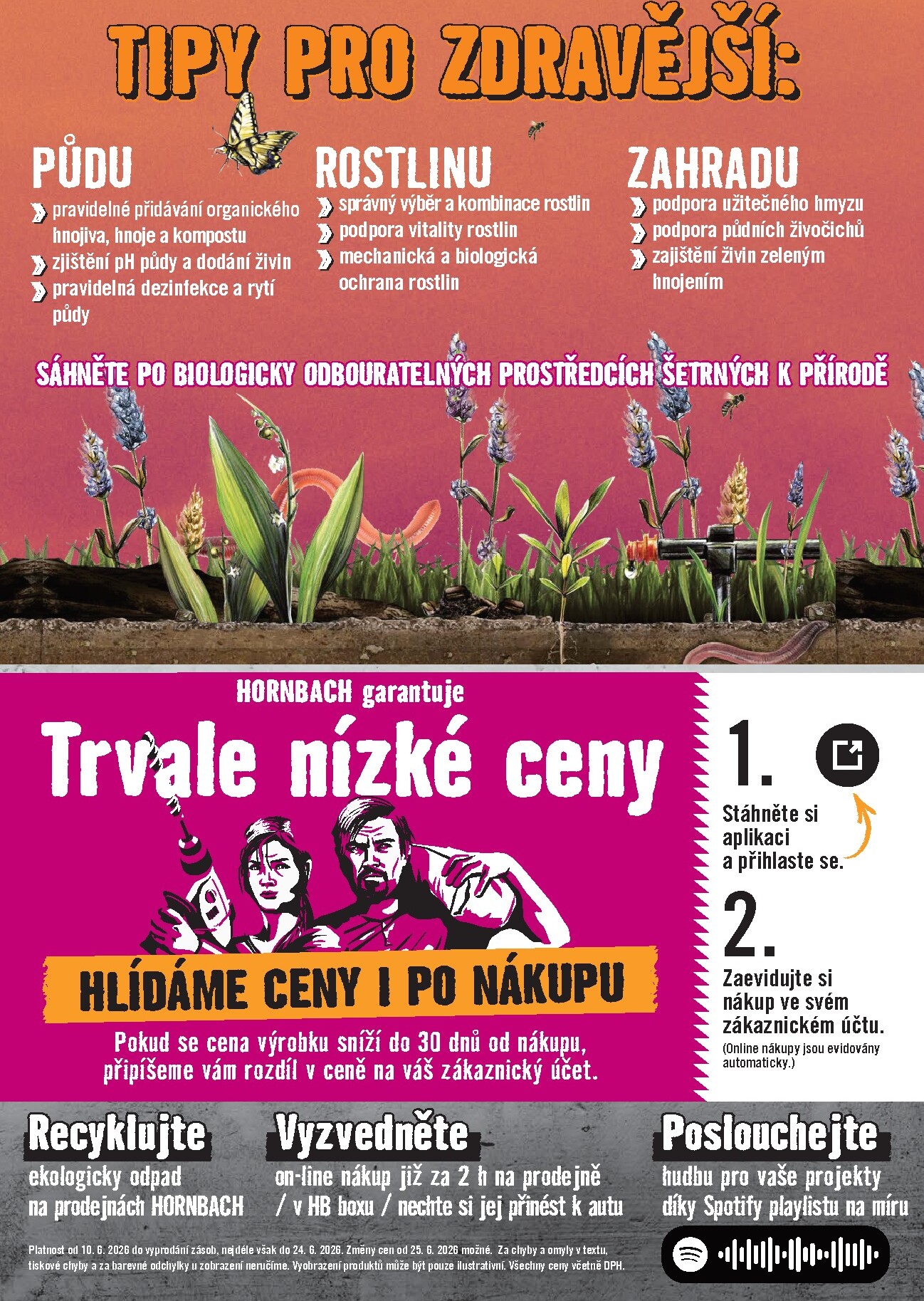 hornbach - Aktuální Hornbach - Venkovní rostliny leták platný od středy 10.06.2026 do středy 24.06.2026 - page: 8