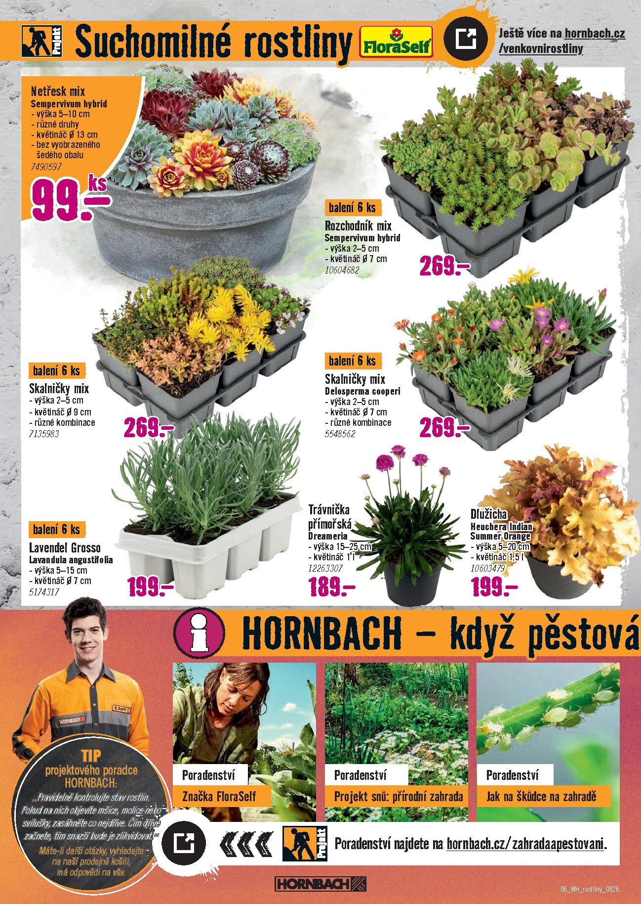 hornbach - Aktuální Hornbach - Venkovní rostliny leták platný od středy 10.06.2026 do středy 24.06.2026 - page: 6