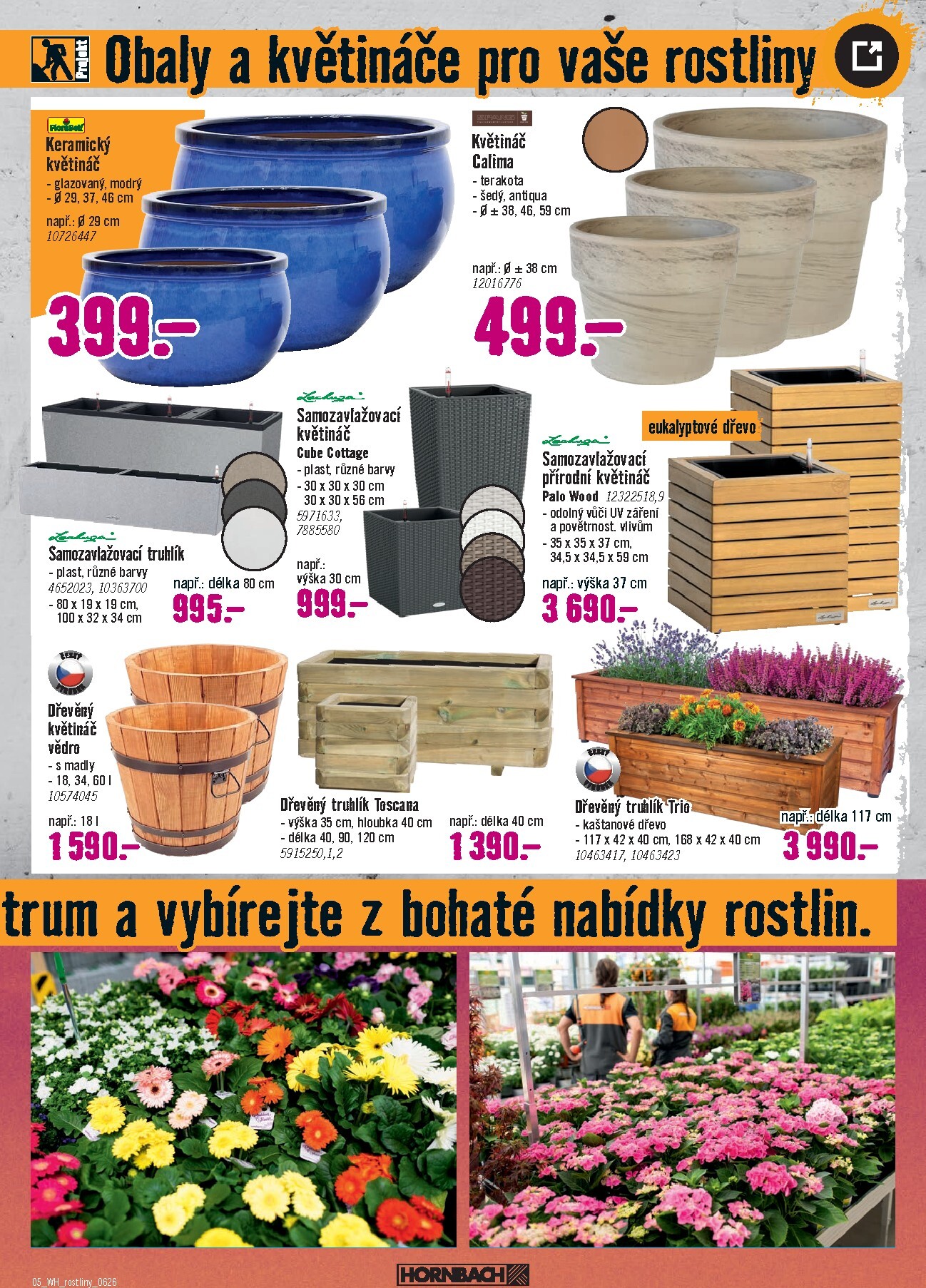 hornbach - Aktuální Hornbach - Venkovní rostliny leták platný od středy 10.06.2026 do středy 24.06.2026 - page: 5