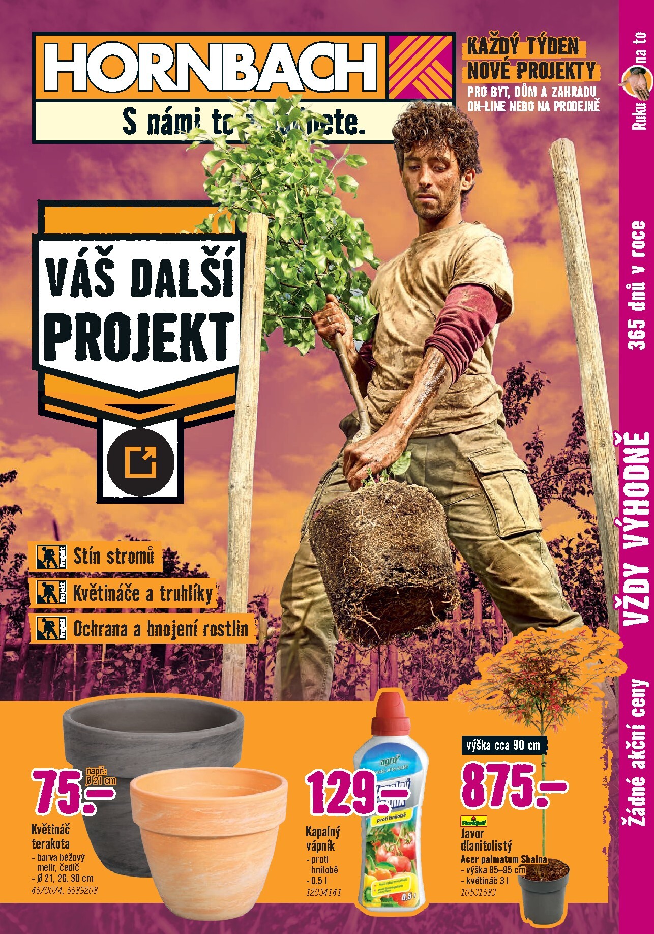 hornbach - Aktuální Hornbach - Venkovní rostliny leták platný od středy 10.06.2026 do středy 24.06.2026