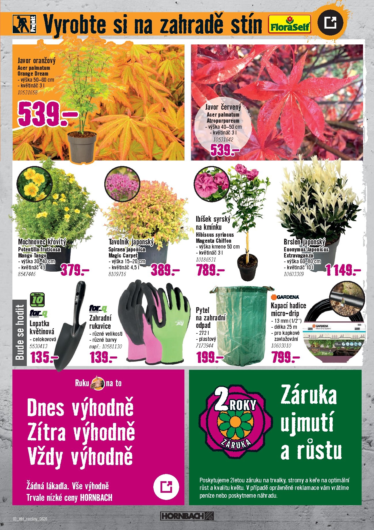 hornbach - Aktuální Hornbach - Venkovní rostliny leták platný od středy 10.06.2026 do středy 24.06.2026 - page: 3
