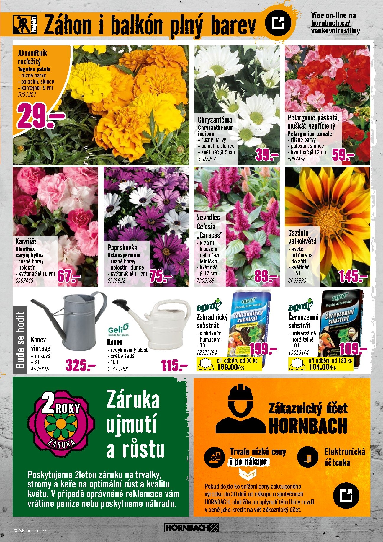 hornbach - Aktuální Hornbach - Letničky leták platný od středy 15.07.2026 do středy 29.07.2026 - page: 3