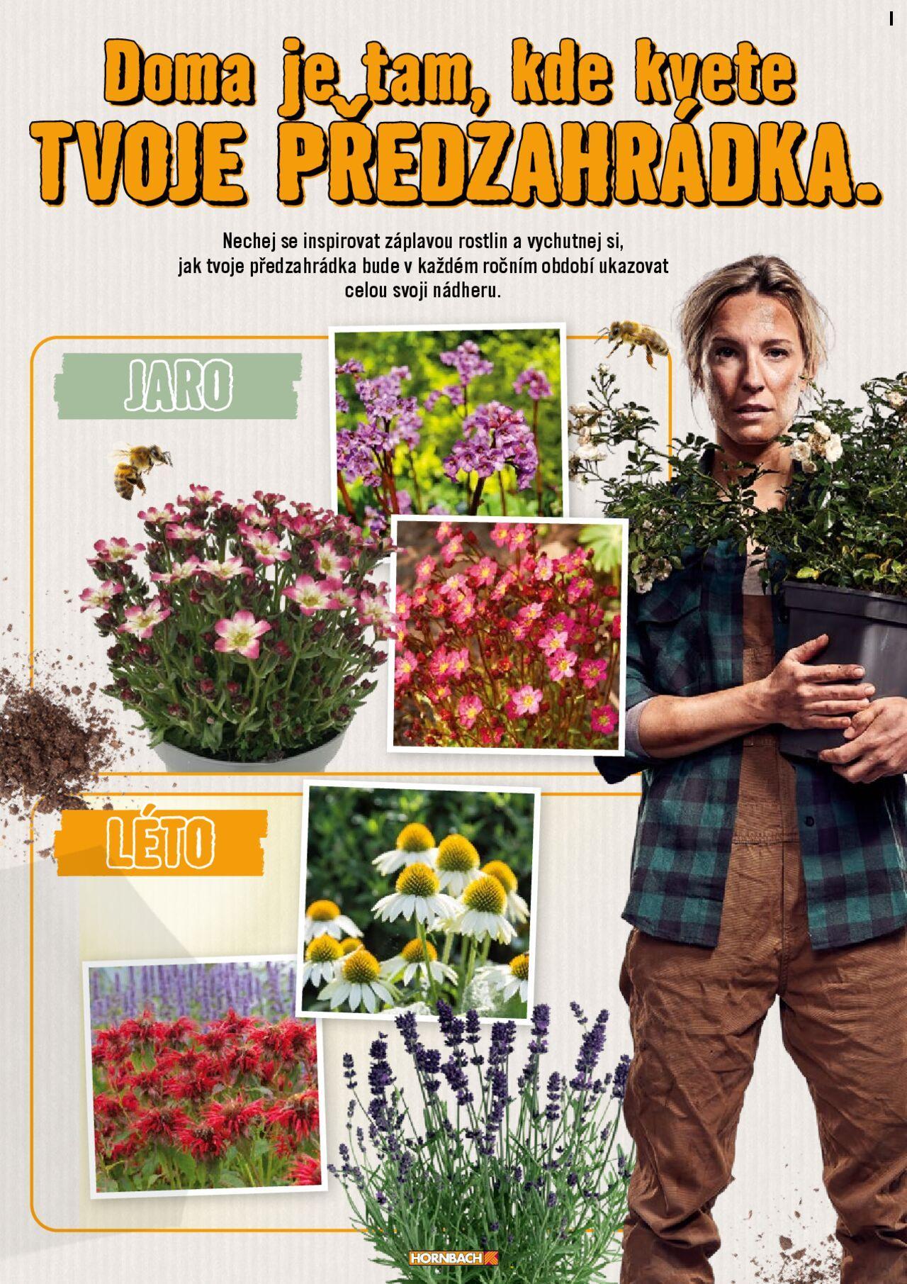 hornbach - HORNBACH katalog - Okolí DOMU od úterý 23.07.2024 - page: 24