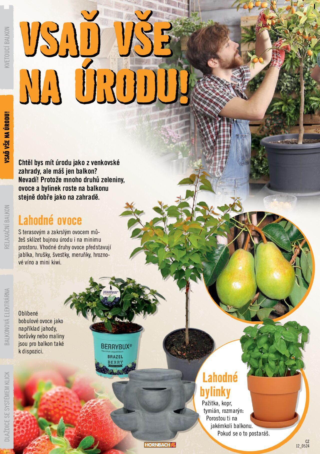 hornbach - HORNBACH katalog - Balkón 2024 od pondělí 13.05.2024 - page: 12