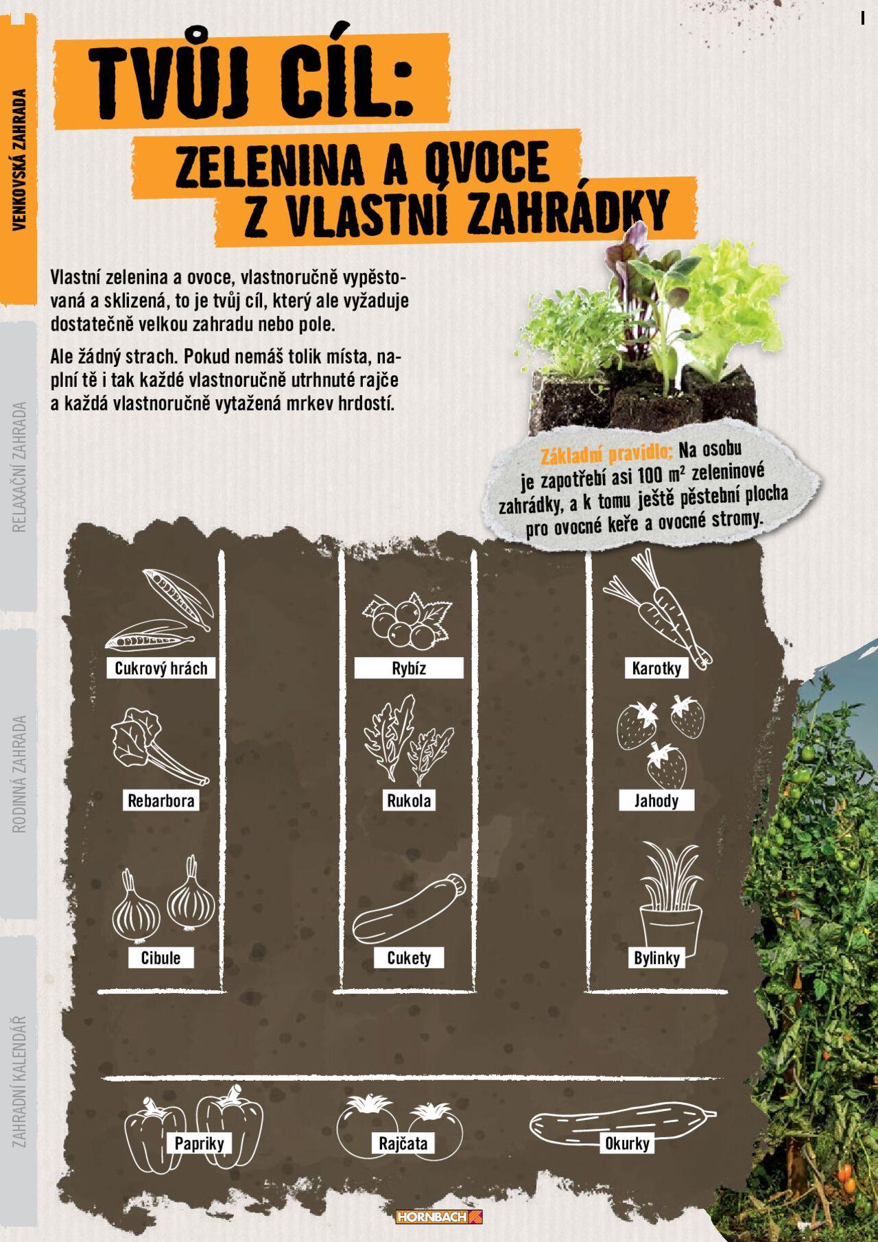 hornbach - HORNBACH katalog - Zahrada 2024 od pondělí 13.05.2024 - page: 6