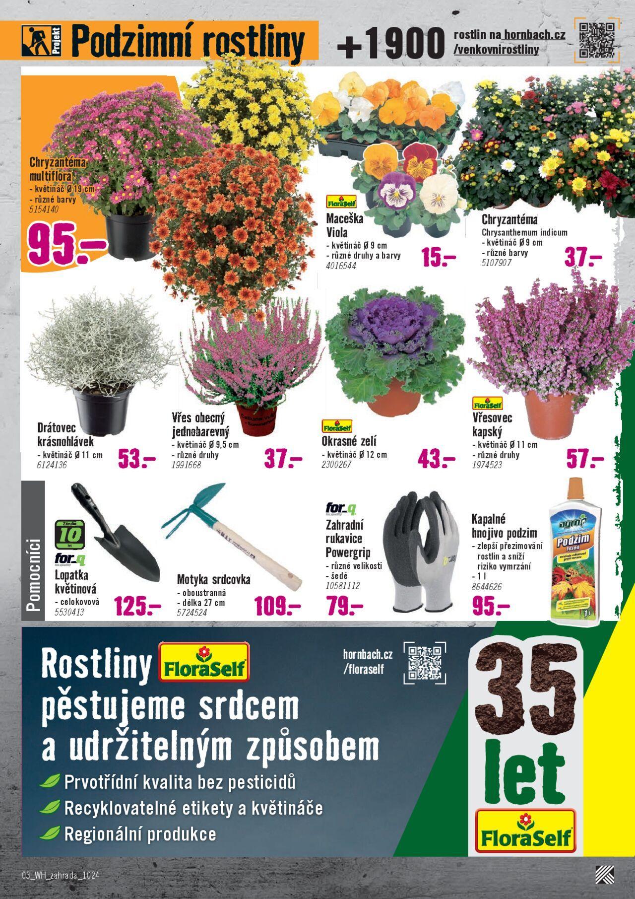 hornbach - HORNBACH katalog - Podzimní zahrada 02.10.2024 - 16.10.2024 - page: 3