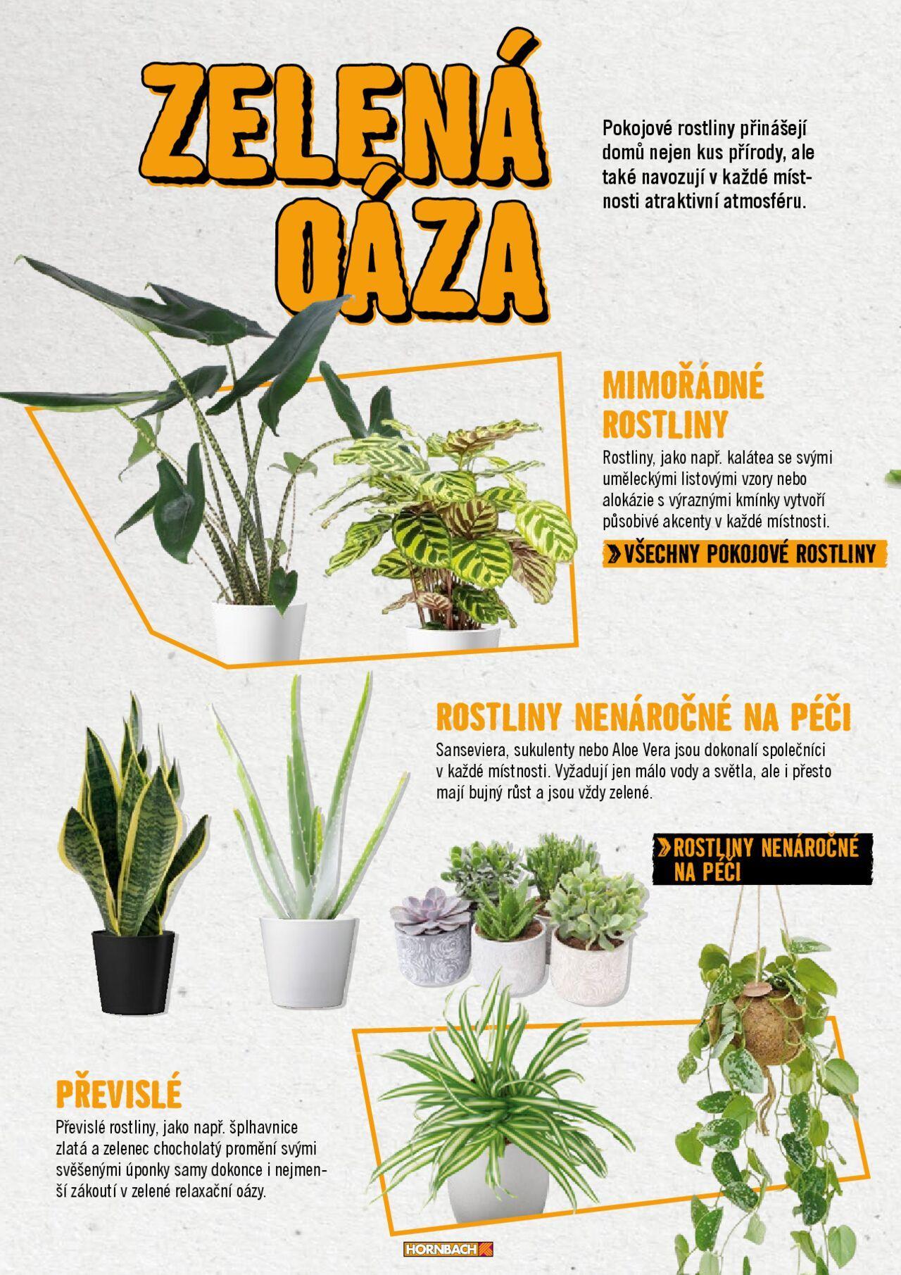 hornbach - HORNBACH katalog - Bydlení od pondělí 14.10.2024 - page: 24