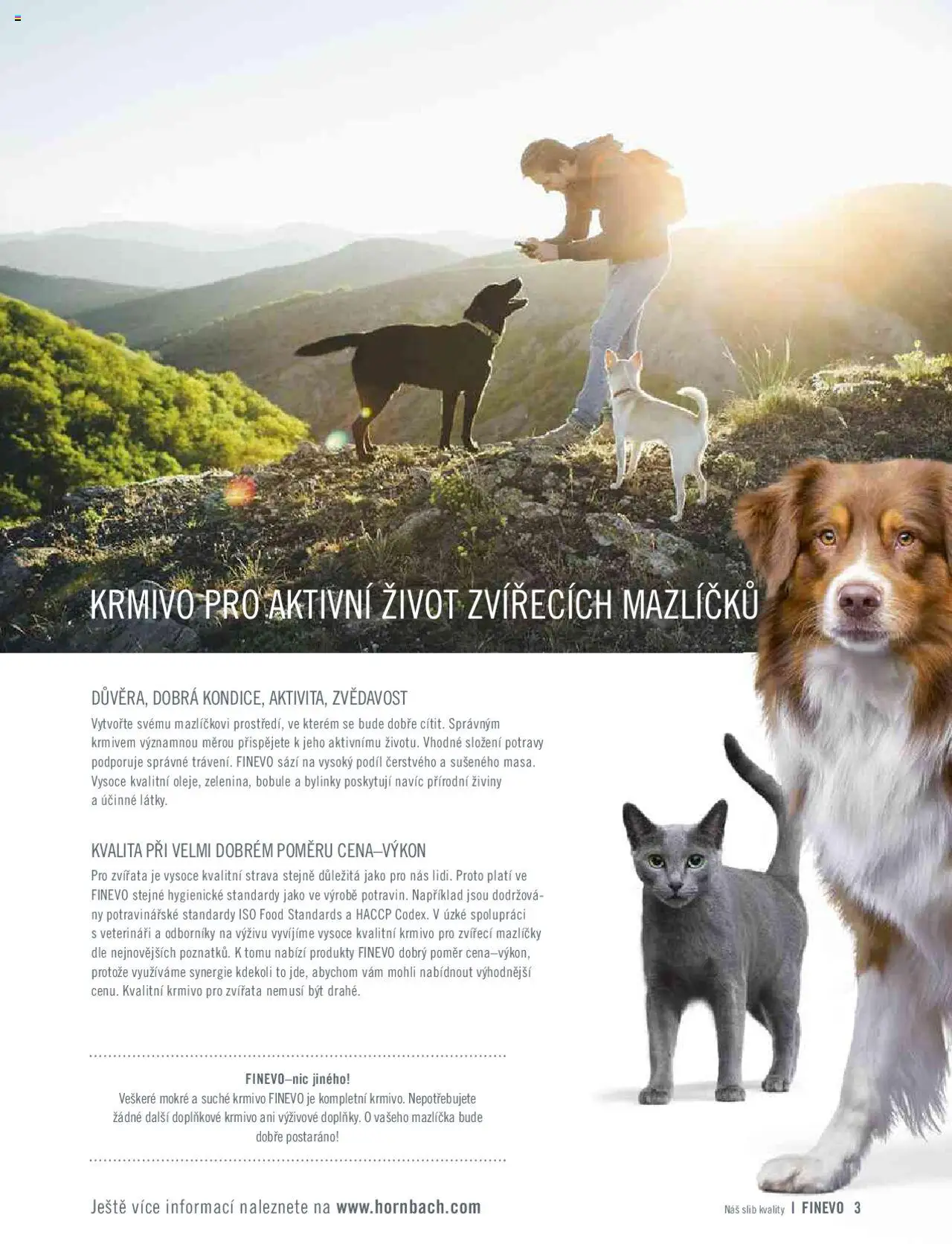 hornbach - HORNBACH katalog - FINEVO od čtvrtka 06.02.2025 - page: 3