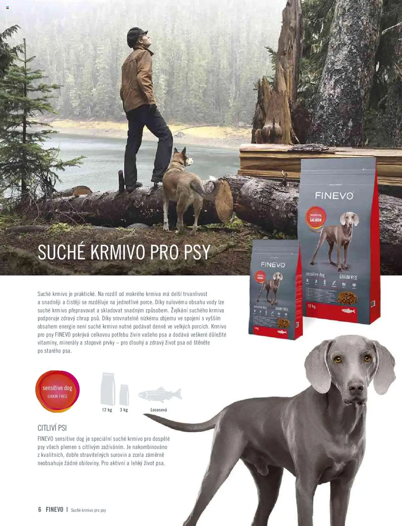 hornbach - HORNBACH katalog - FINEVO od čtvrtka 06.02.2025 - page: 6