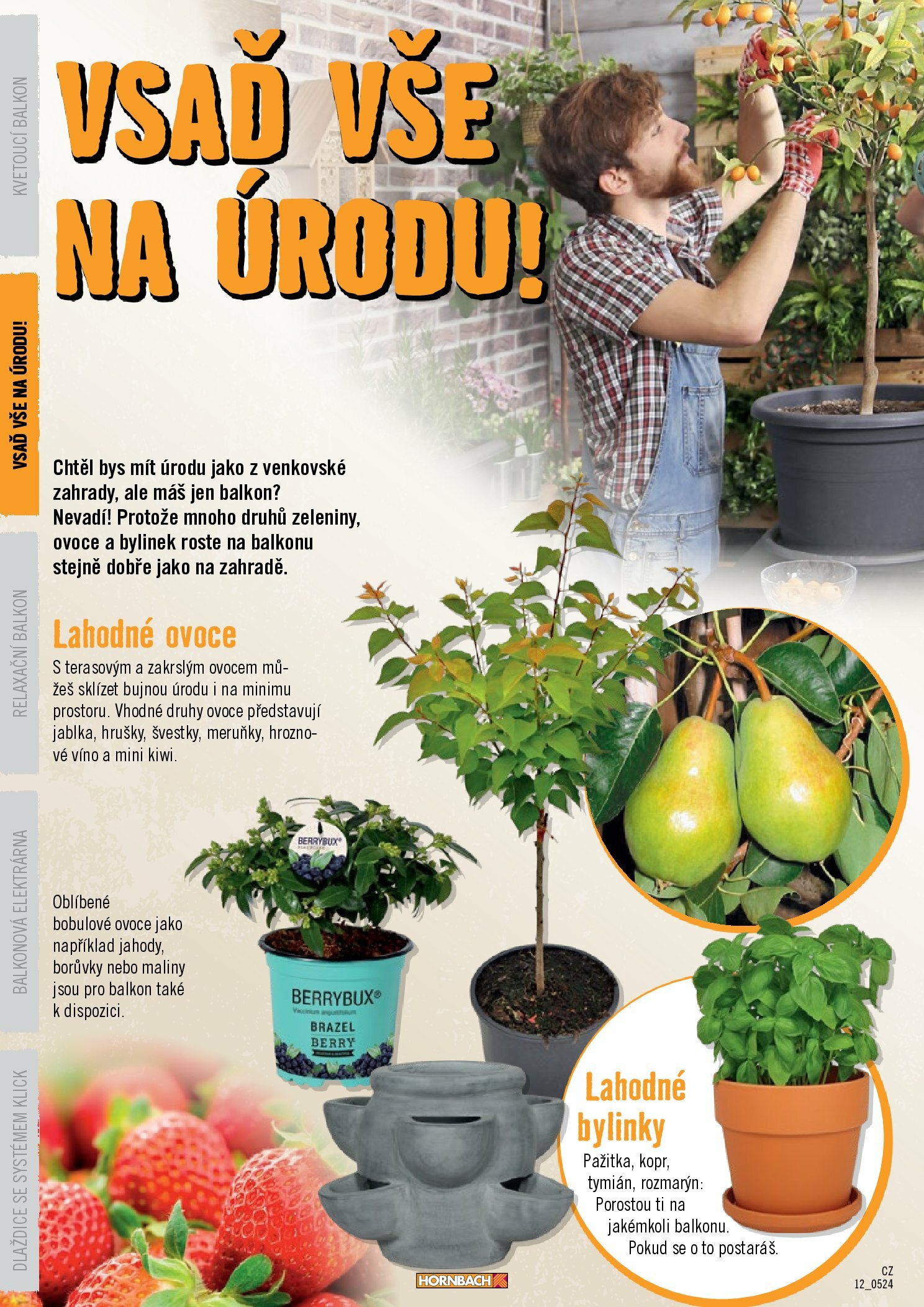 hornbach - Leták Hornbach - Balkón od 13.08. do 31.08. - page: 12