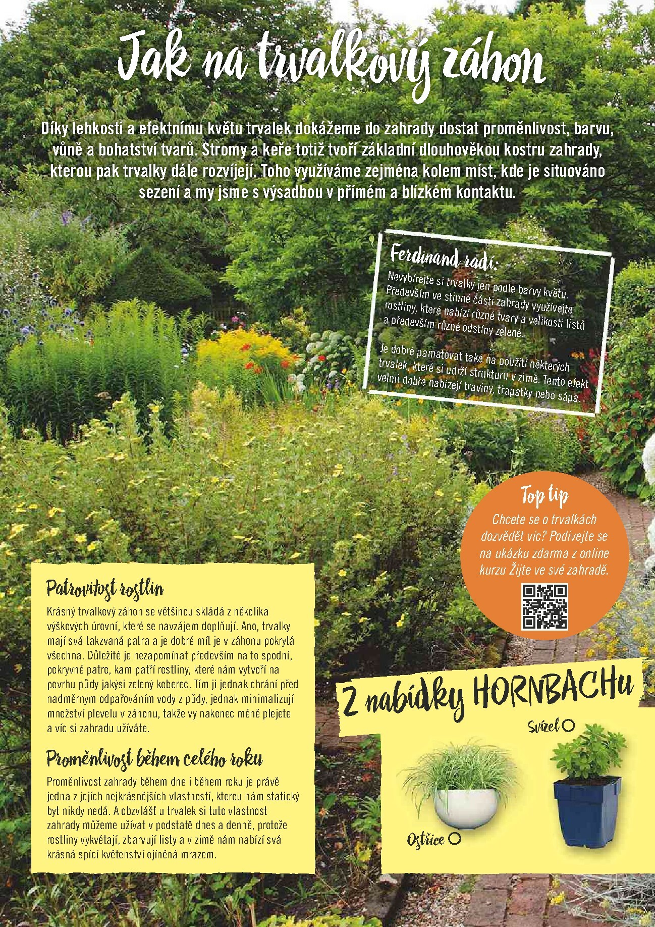 hornbach - Aktuální leták Hornbach - Žijte ve své zahradě od 01.01. do 31.12. - page: 6