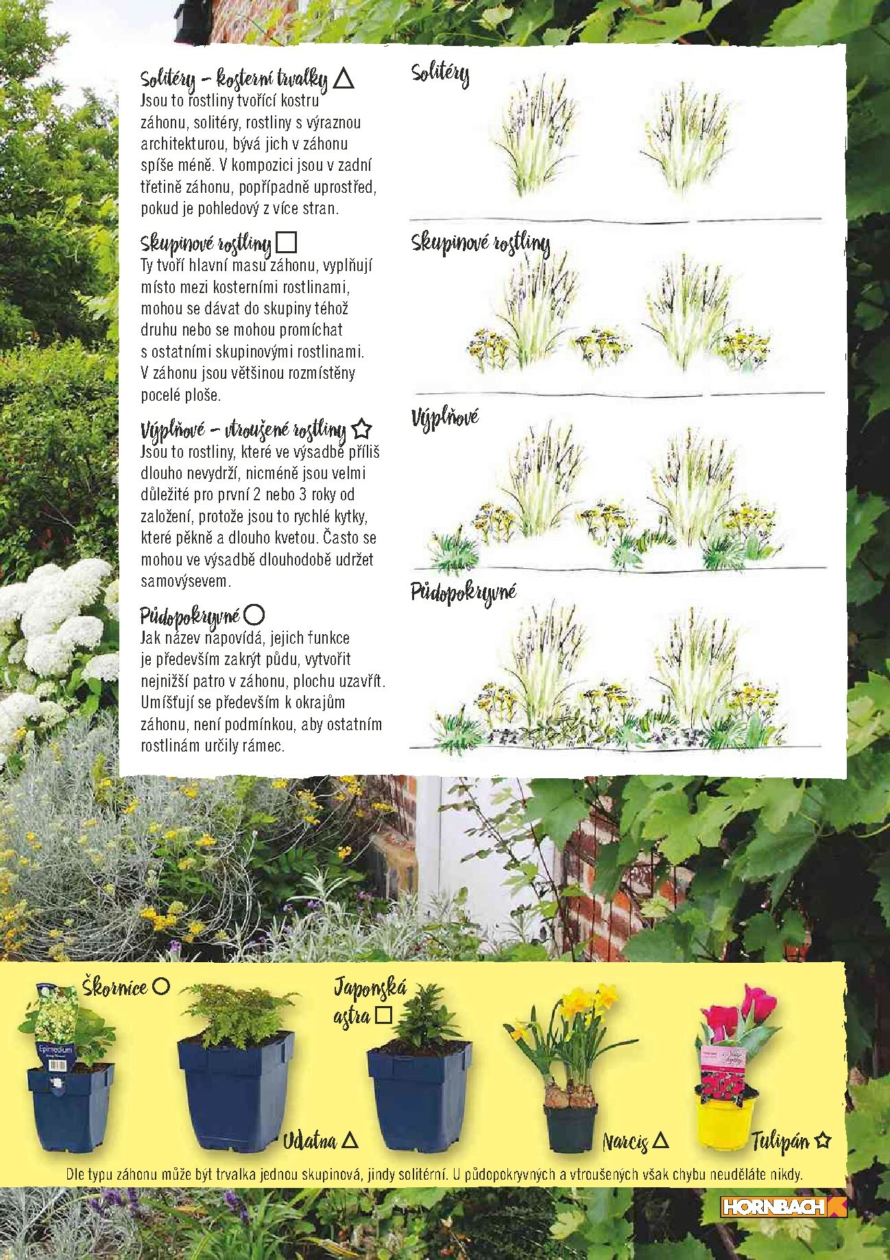hornbach - Aktuální leták Hornbach - Žijte ve své zahradě od 01.01. do 31.12. - page: 7