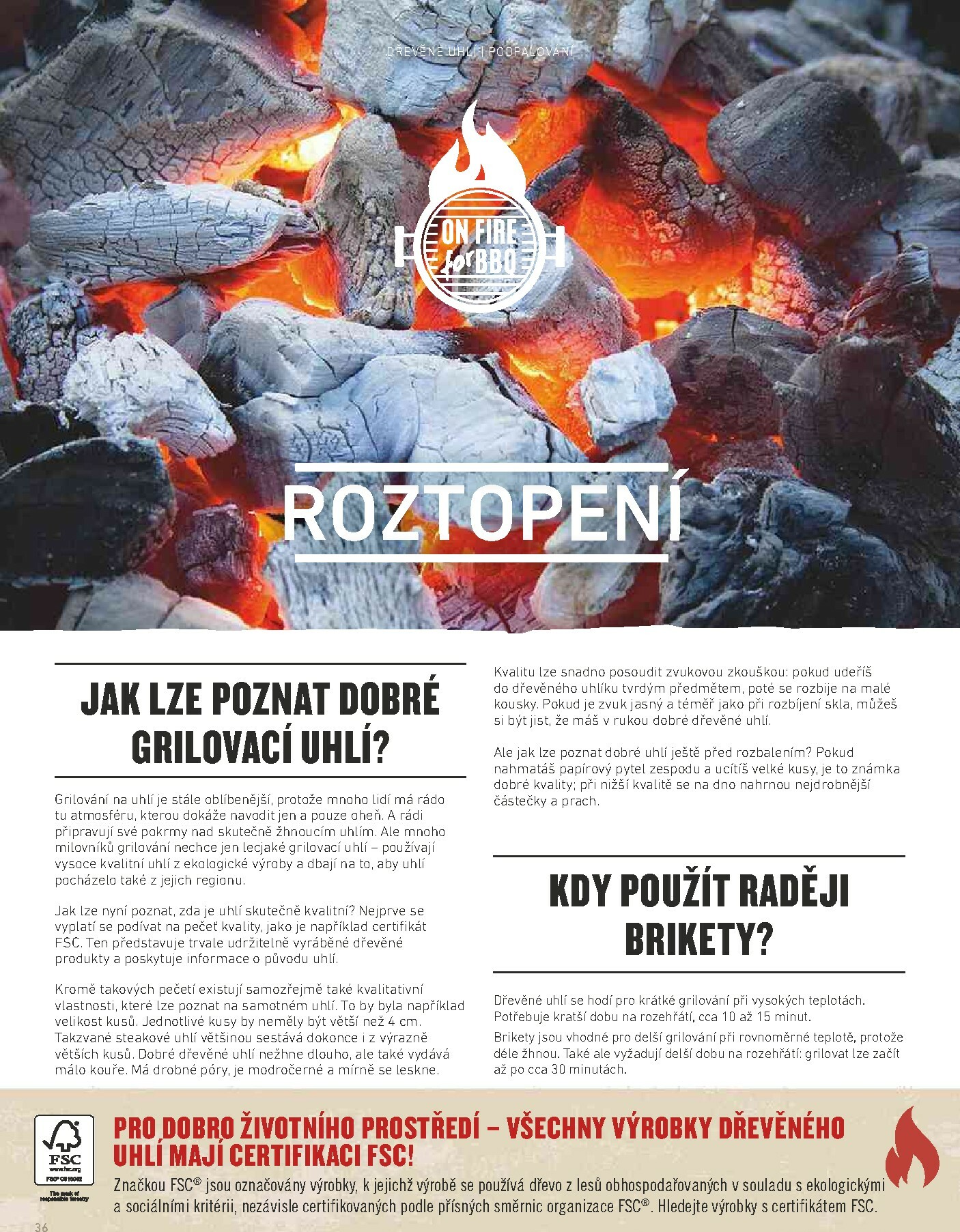 hornbach - Aktuální leták Hornbach - Tenneker - magazín o grilování od 01.01. do 31.12. - page: 36