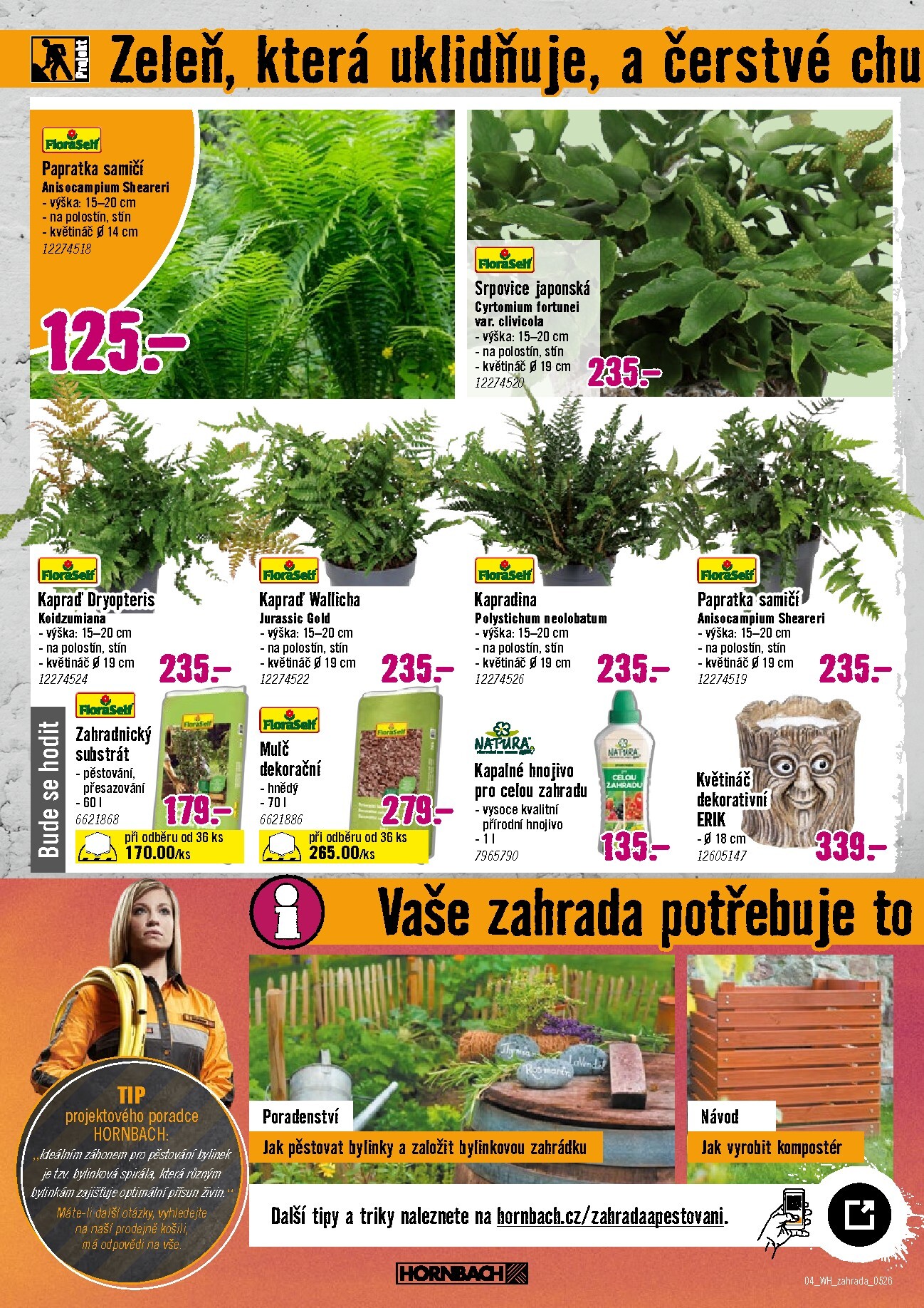 hornbach - Aktuální Hornbach - Trvalky leták platný od středy 06.05.2026 do středy 20.05.2026 - page: 4