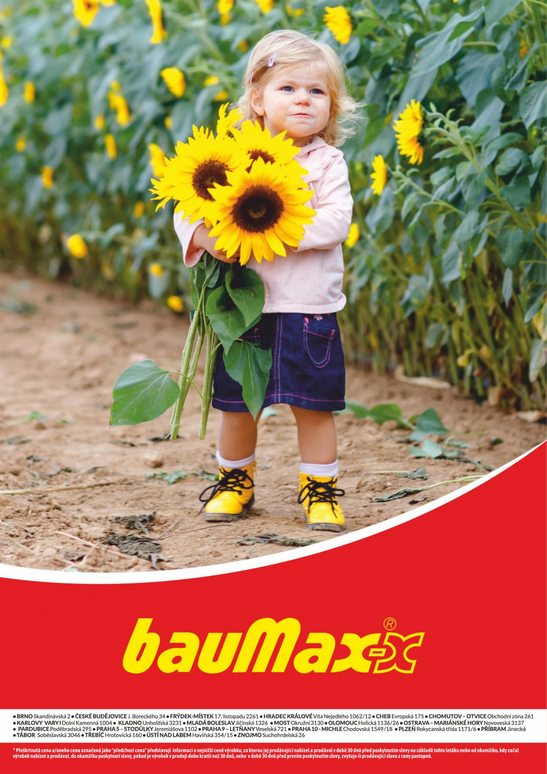baumax - Baumax platný od 14.03.2024 - page: 10