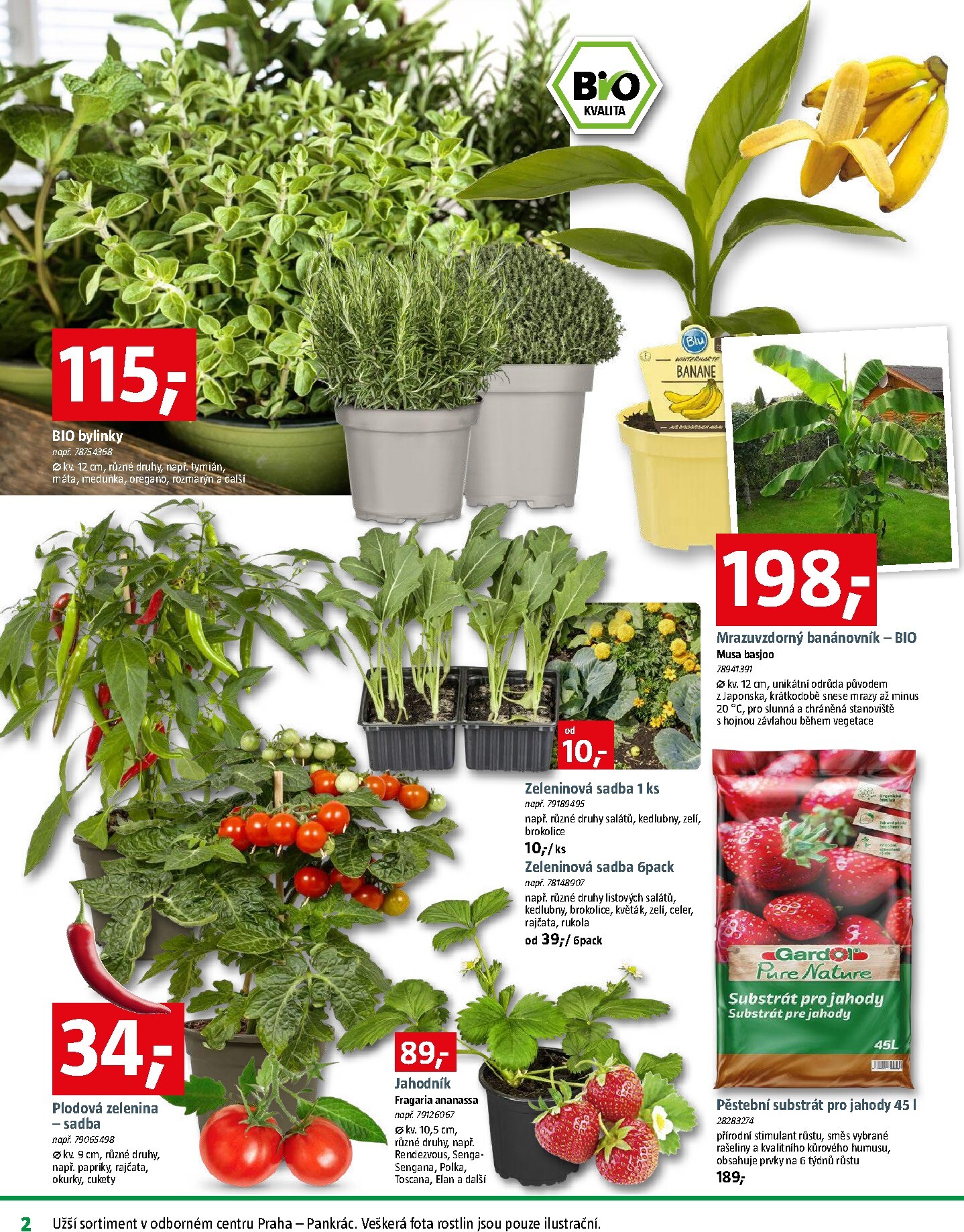 bauhaus - Aktuální Bauhaus - Zahradní centrum leták platný od pátku 17.04.2026 do čtvrtka 14.05.2026 - page: 2