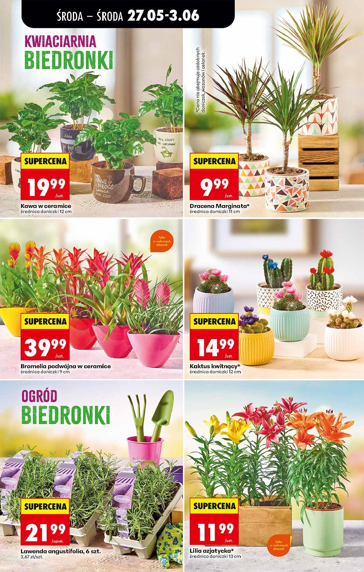 biedronka - Aktuální Biedronka leták platný od středy 27.05.2026 do úterý 02.06.2026 - page: 68