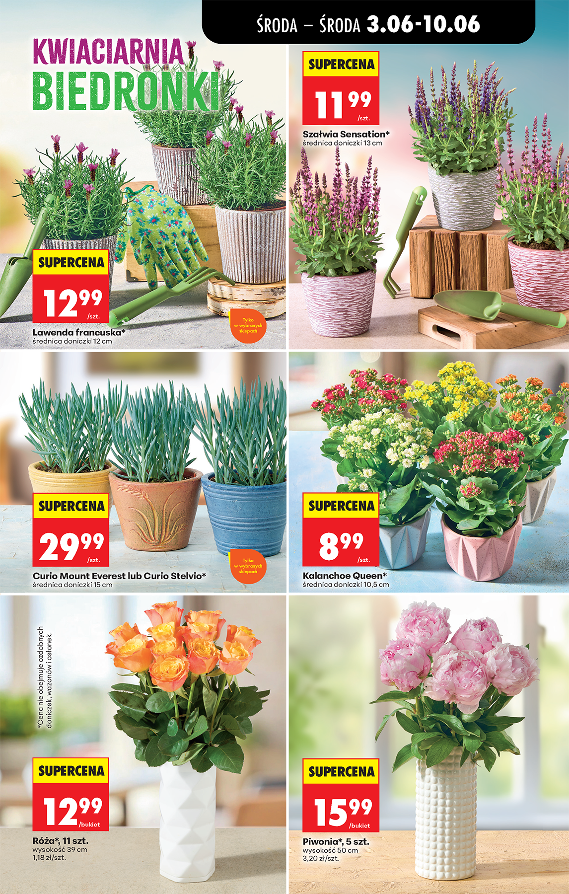 biedronka - Aktuální Biedronka leták platný od středy 03.06.2026 do úterý 09.06.2026 - page: 69