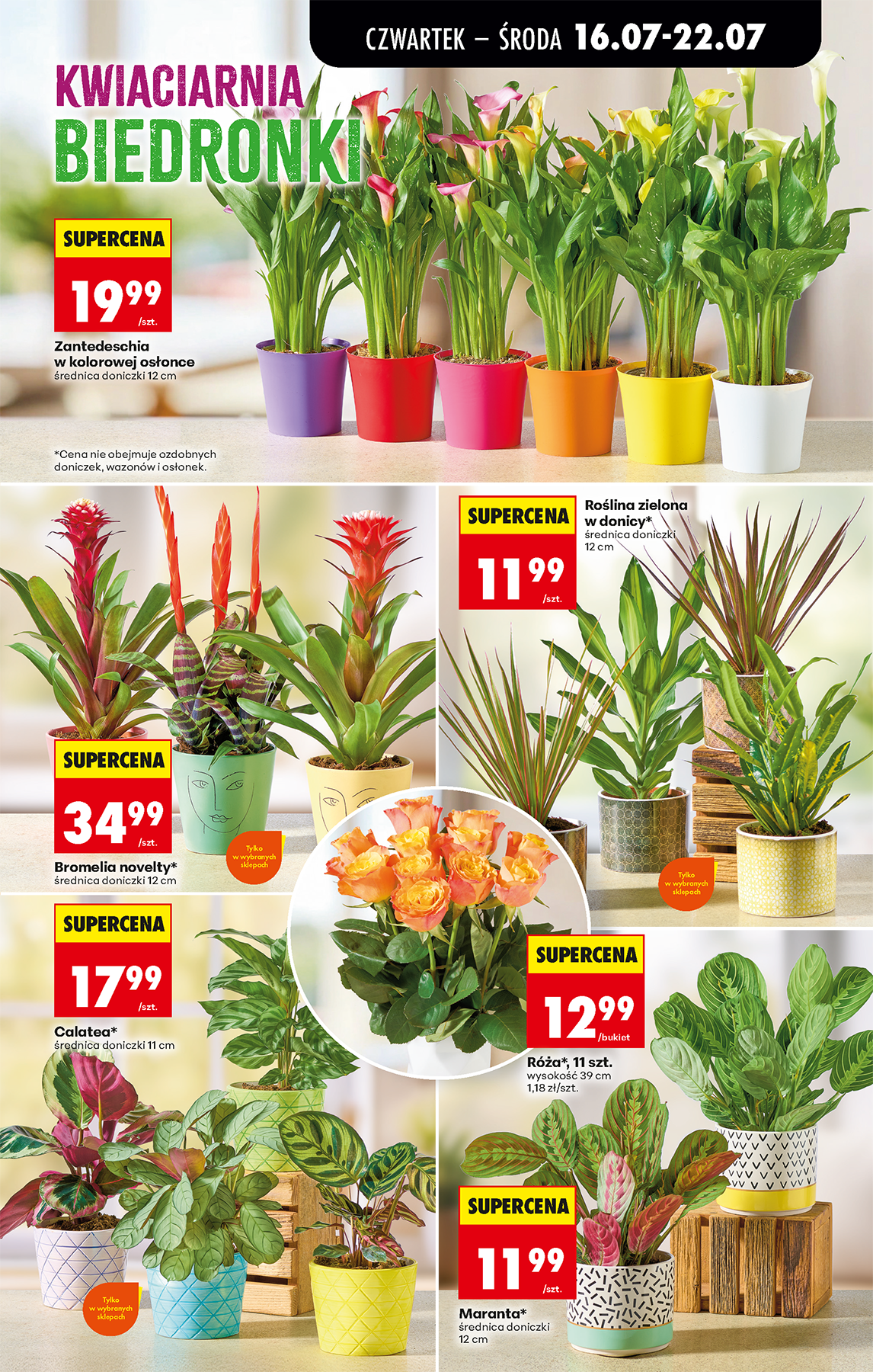 biedronka - Aktuální Biedronka leták platný od čtvrtka 16.07.2026 do středy 22.07.2026 - page: 73