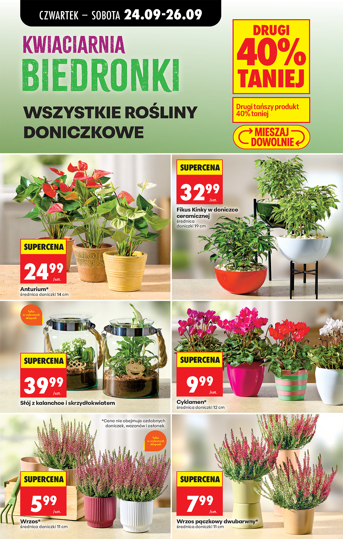 biedronka - Aktuální Biedronka leták platný od čtvrtka 24.09.2026 do středy 30.09.2026 - page: 89