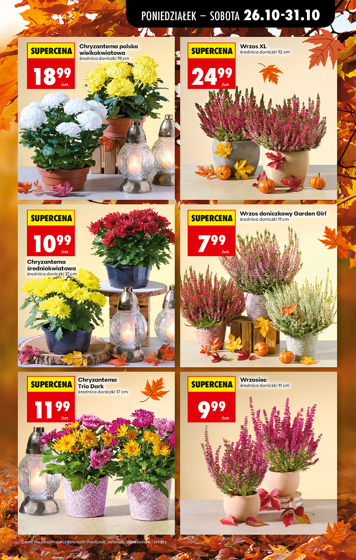 biedronka - Aktuální Biedronka leták platný od pondělí 26.10.2026 do soboty 31.10.2026 - page: 21