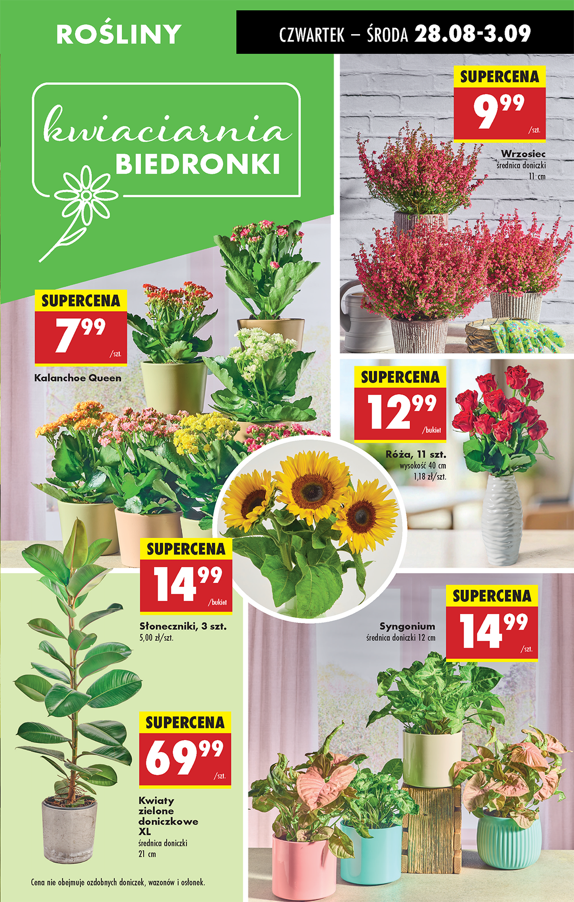 biedronka - Leták Biedronka od 28.08. do 03.09. - page: 25 biedronka - Leták Biedronka od 28.08. do 03.09. - page: 25