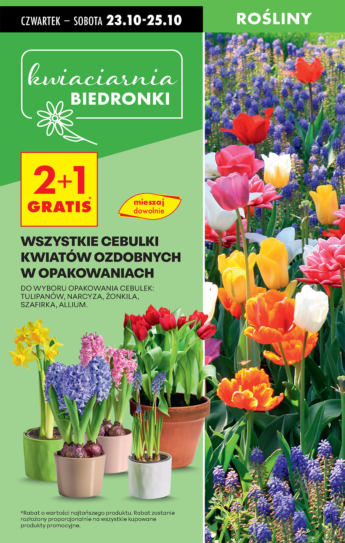 biedronka - Aktuální leták Biedronka od 23.10. do 29.10. - page: 19