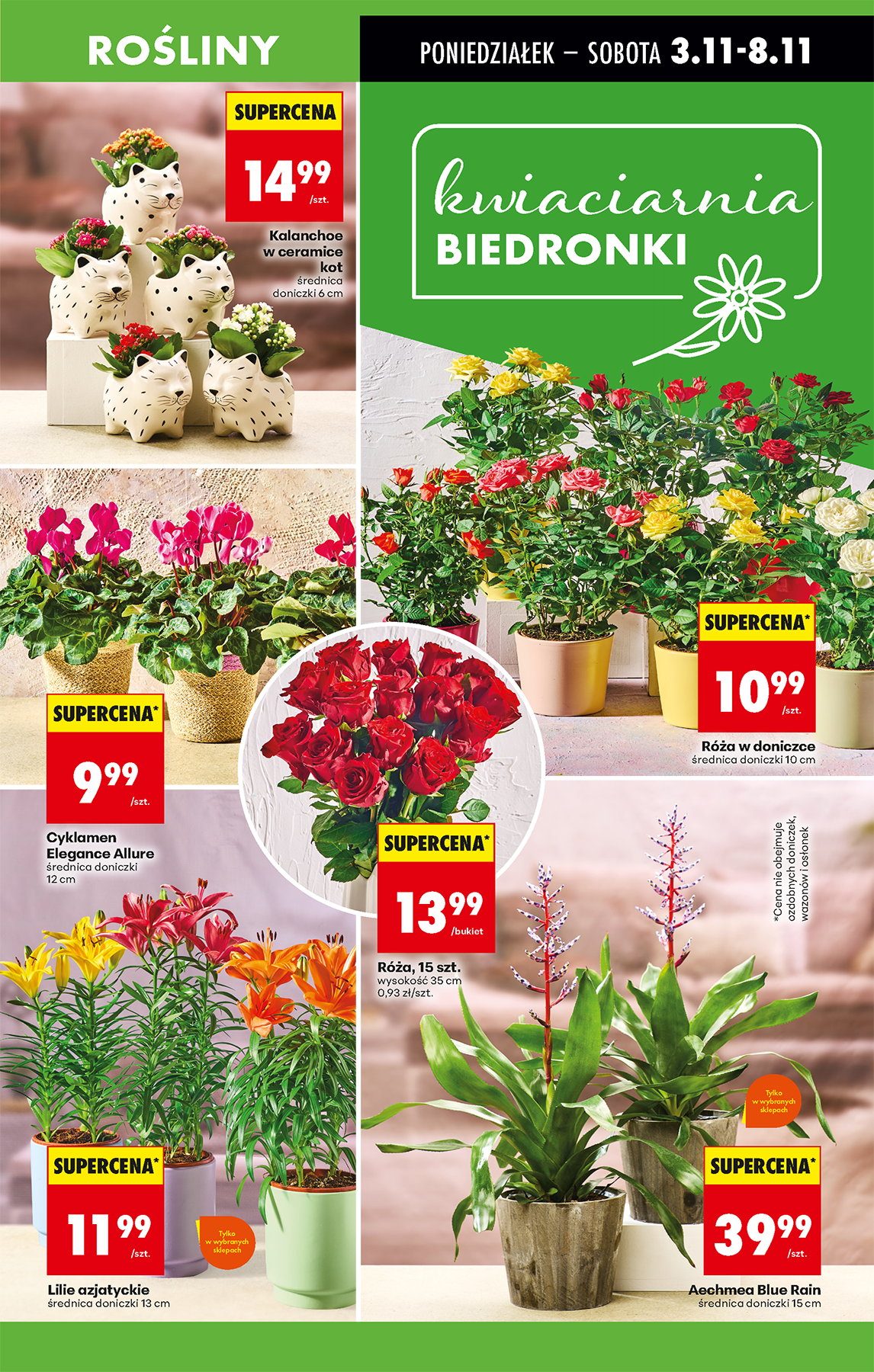 biedronka - Aktuální leták Biedronka od 03.11. do 08.11. - page: 17