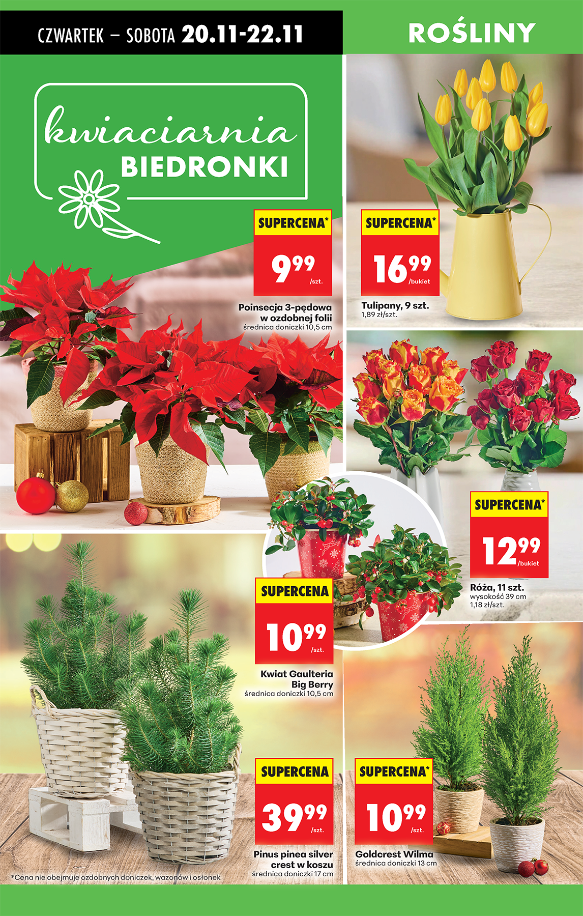 biedronka - Aktuální leták Biedronka od 20.11. do 26.11. - page: 17