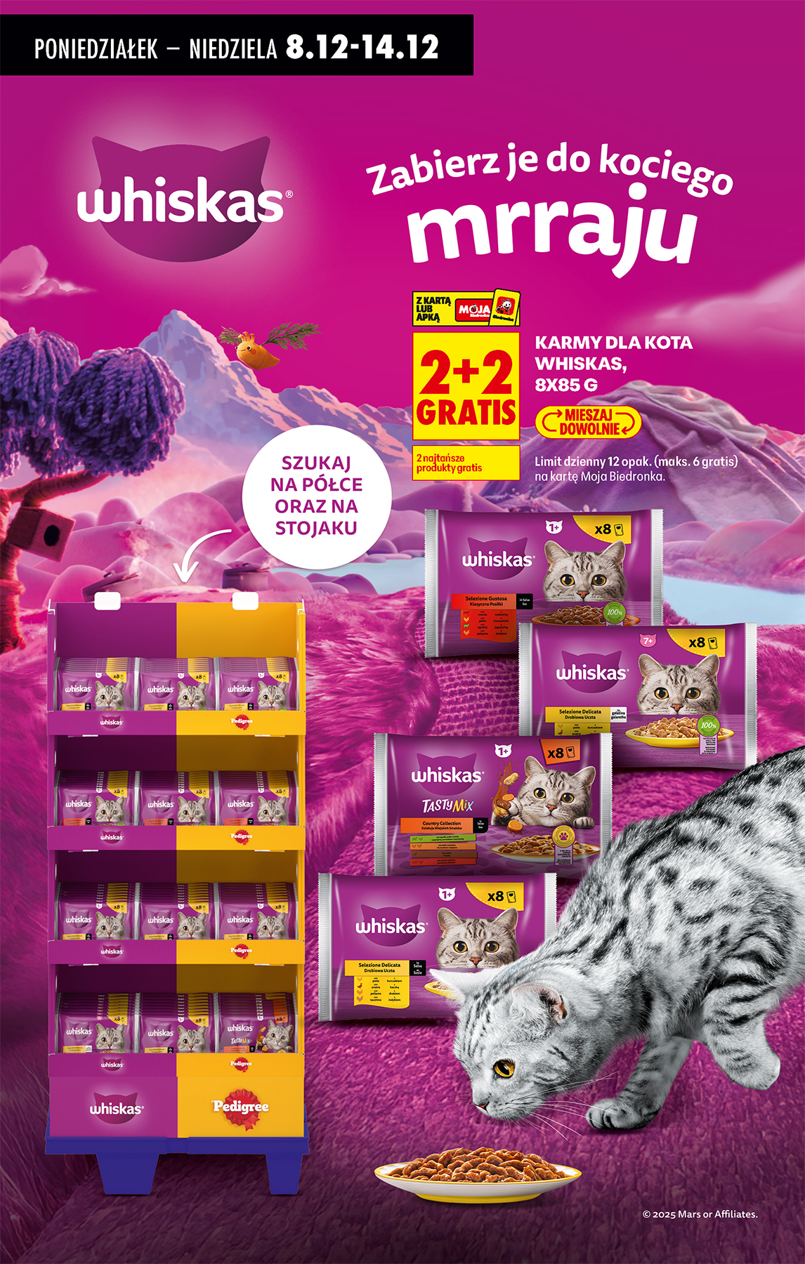 biedronka - Aktuální leták Biedronka od 08.12. do 13.12. - page: 92