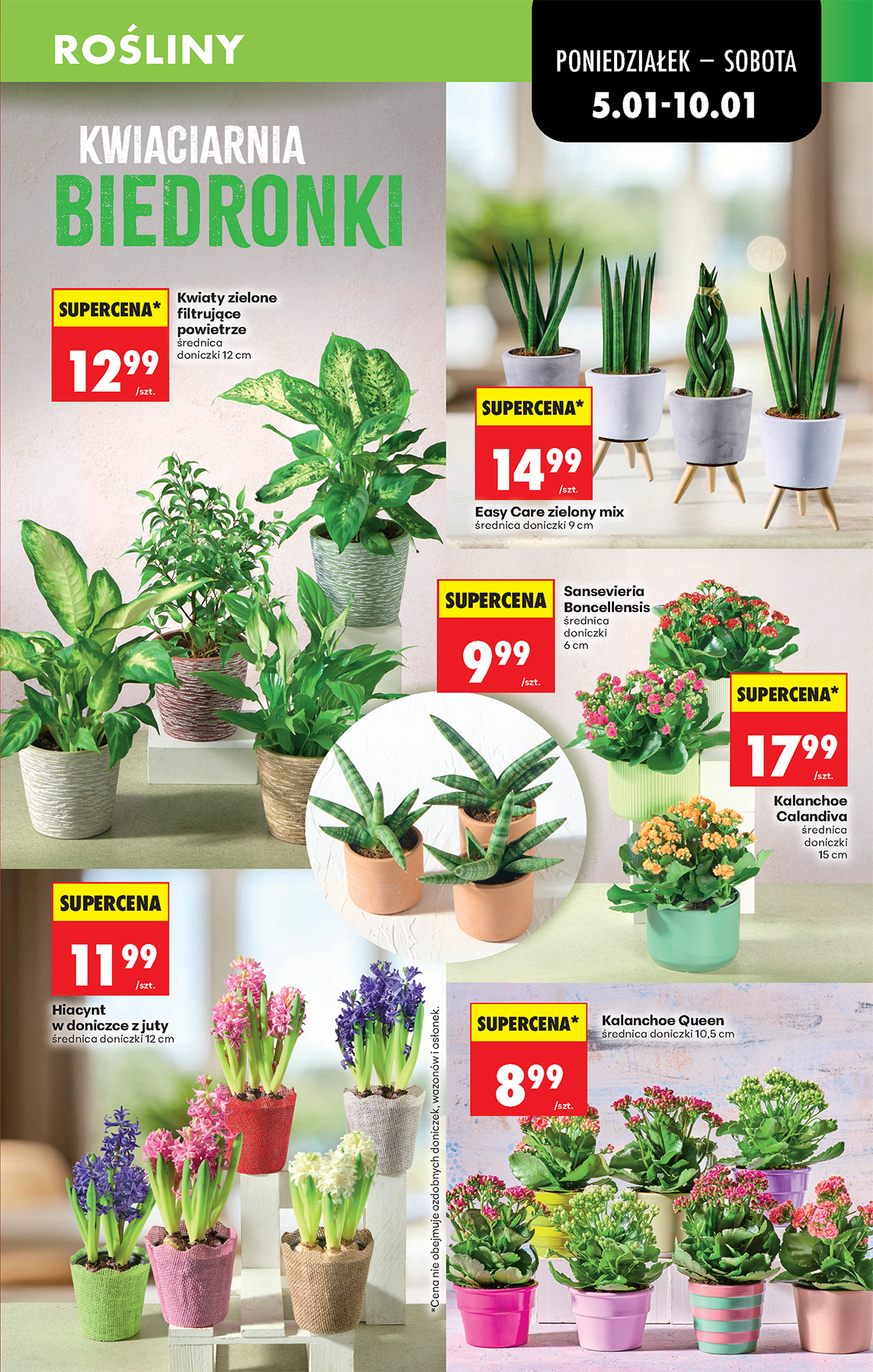 biedronka - Aktuální leták Biedronka od 05.01. do 10.01. - page: 23