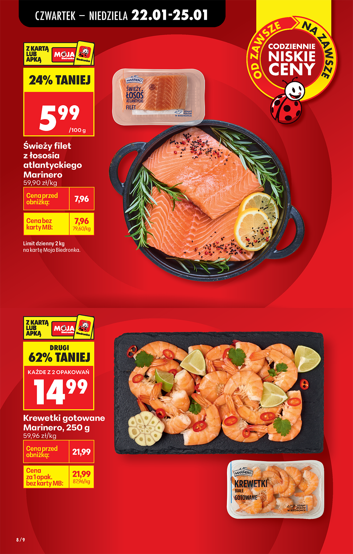 biedronka - Biedronka leták platný od 22.01. do 28.01. - page: 10