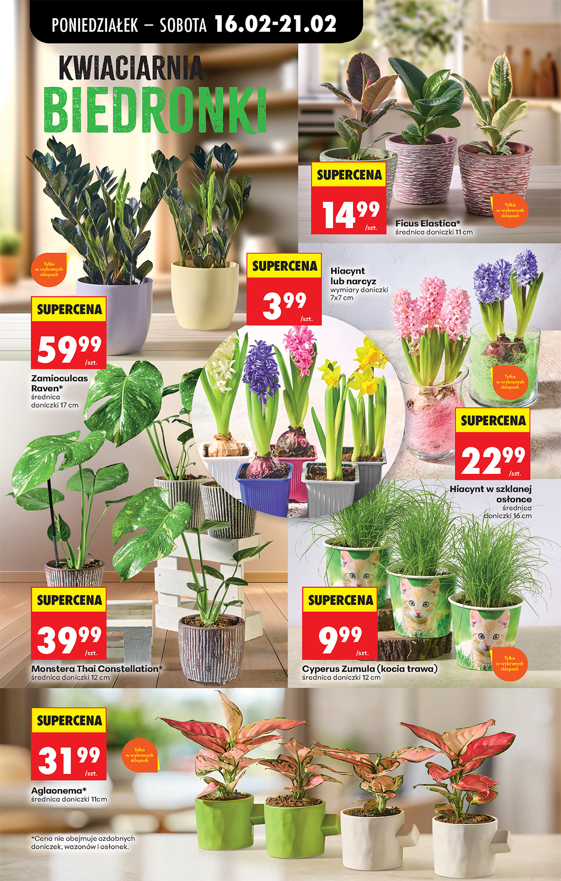 biedronka - Biedronka leták platný od pondělí 16.02.2026 do soboty 21.02.2026 - page: 28