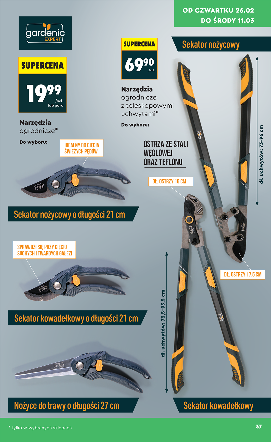 biedronka - Biedronka - Hity i inspiracje leták platný od soboty 21.02.2026 do soboty 07.03.2026 - page: 37