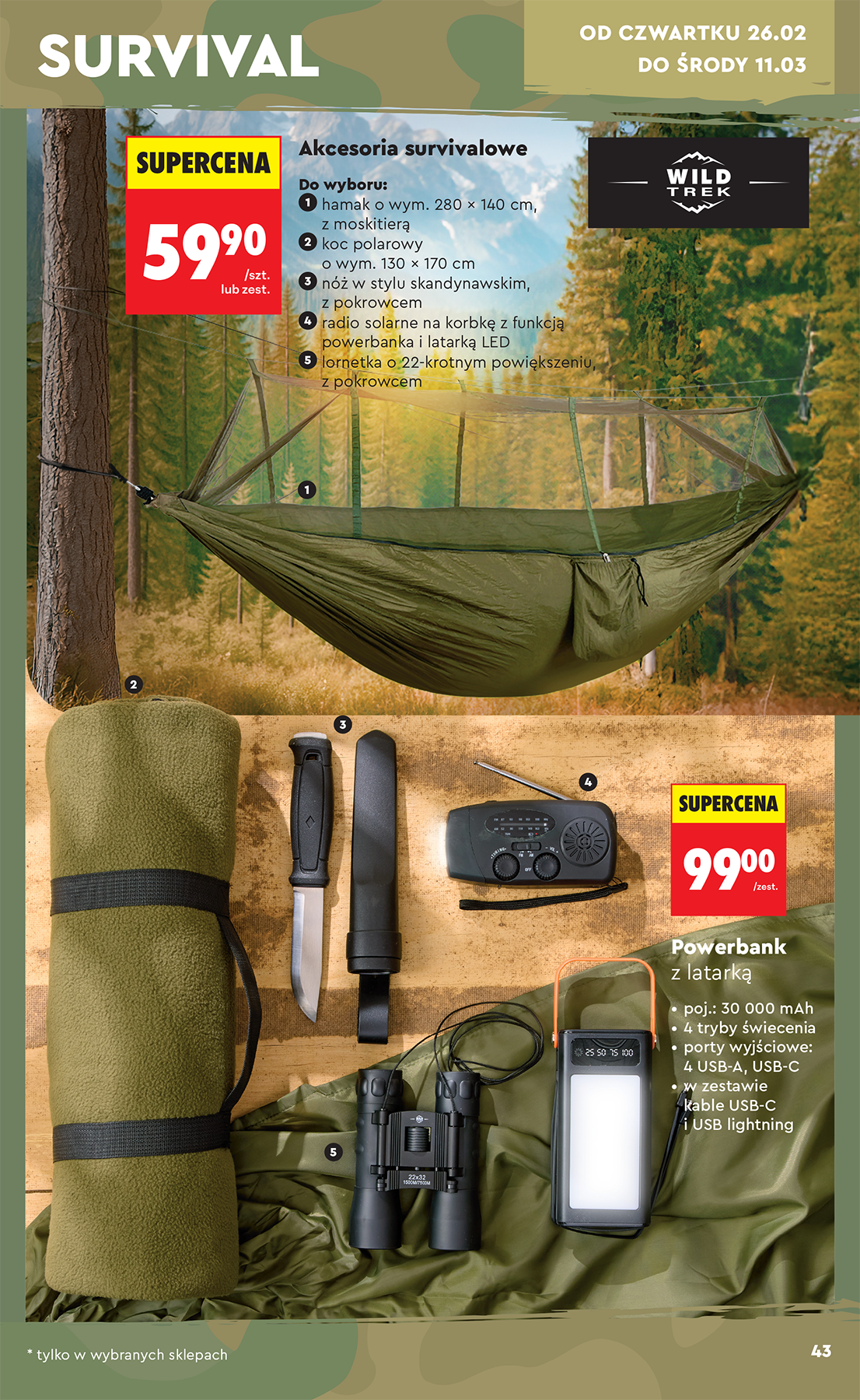 biedronka - Biedronka - Hity i inspiracje leták platný od soboty 21.02.2026 do soboty 07.03.2026 - page: 43