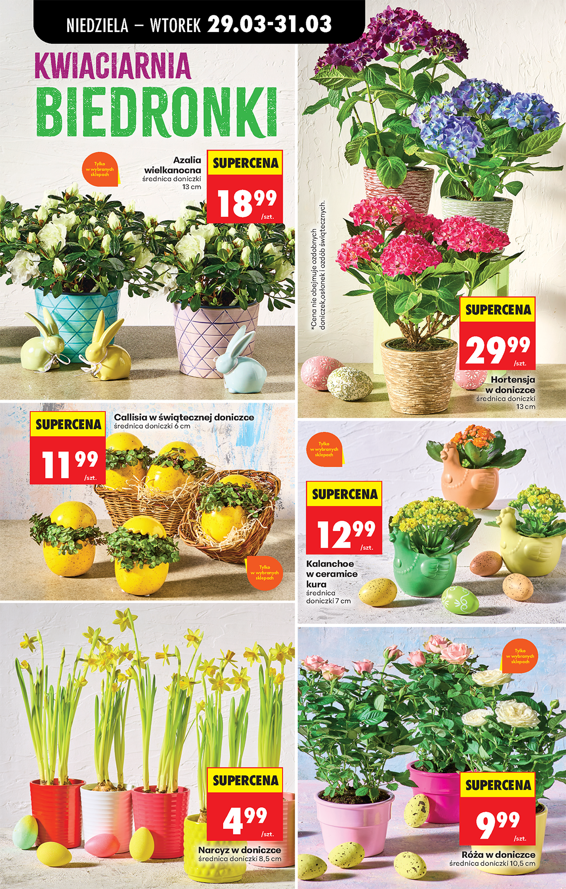 biedronka - Biedronka leták platný od neděle 29.03.2026 do soboty 04.04.2026 - page: 27