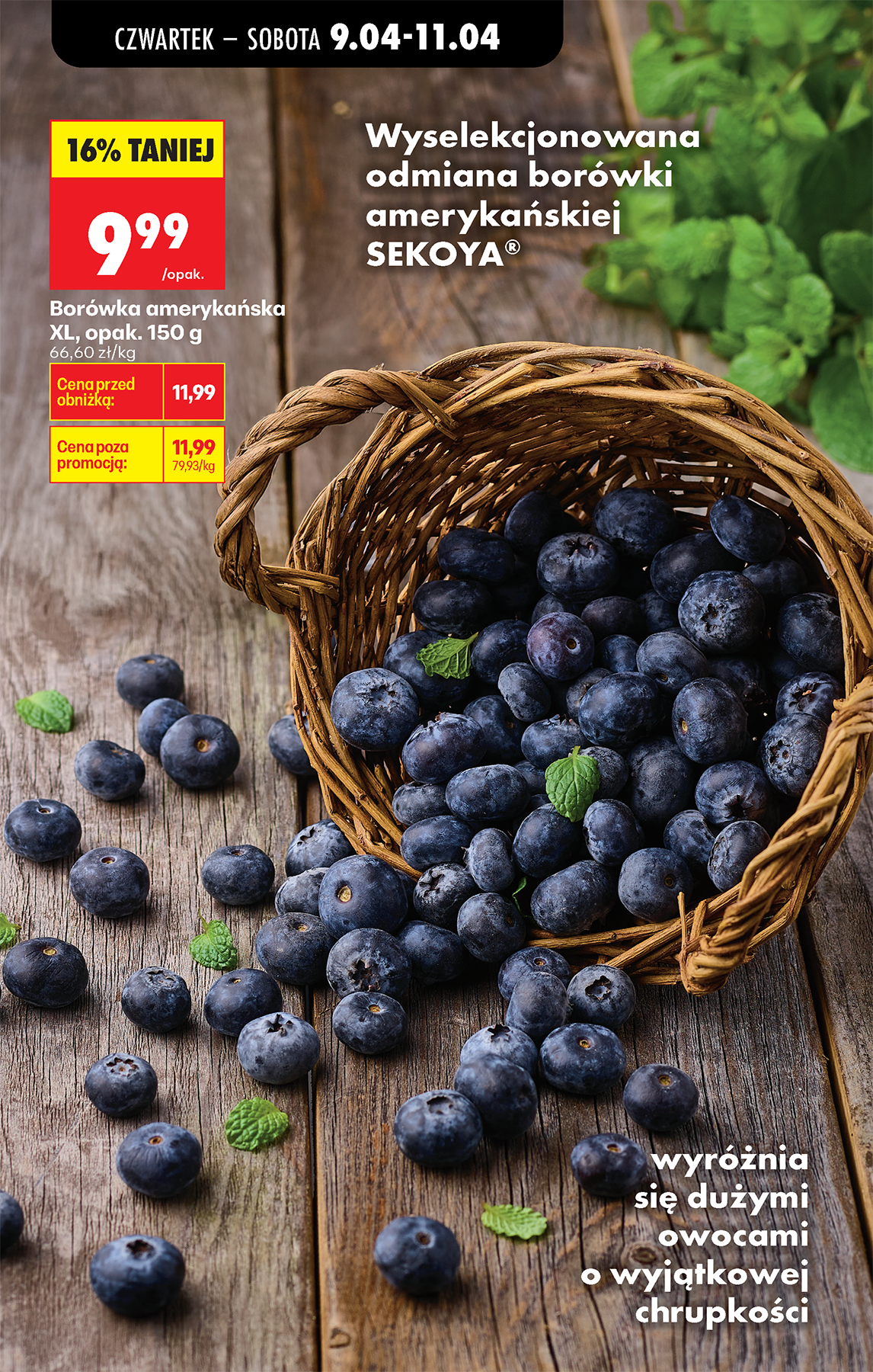 biedronka - Aktuální Biedronka leták platný od čtvrtka 09.04.2026 do středy 15.04.2026 - page: 57