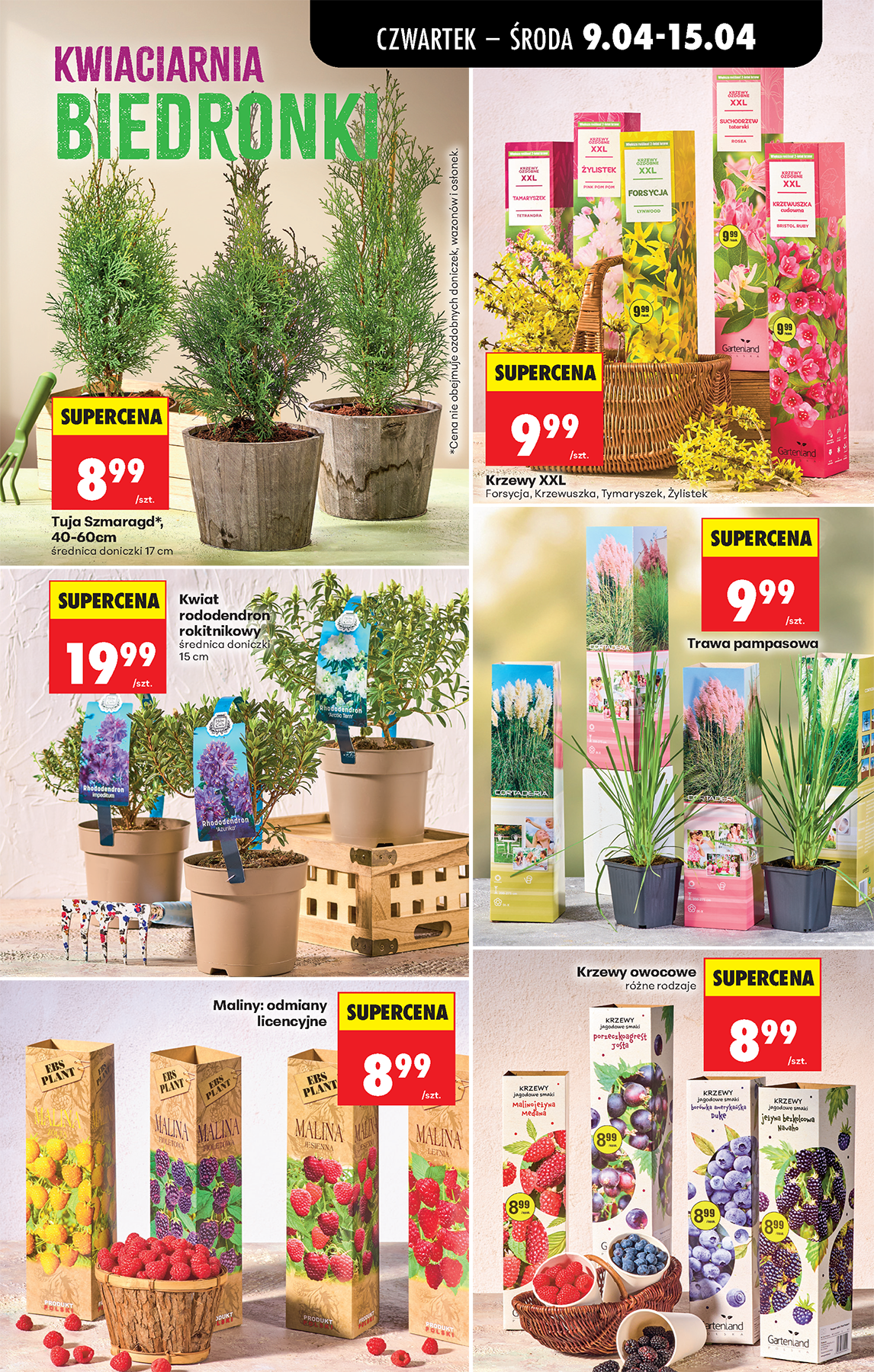 biedronka - Aktuální Biedronka leták platný od čtvrtka 09.04.2026 do středy 15.04.2026 - page: 83