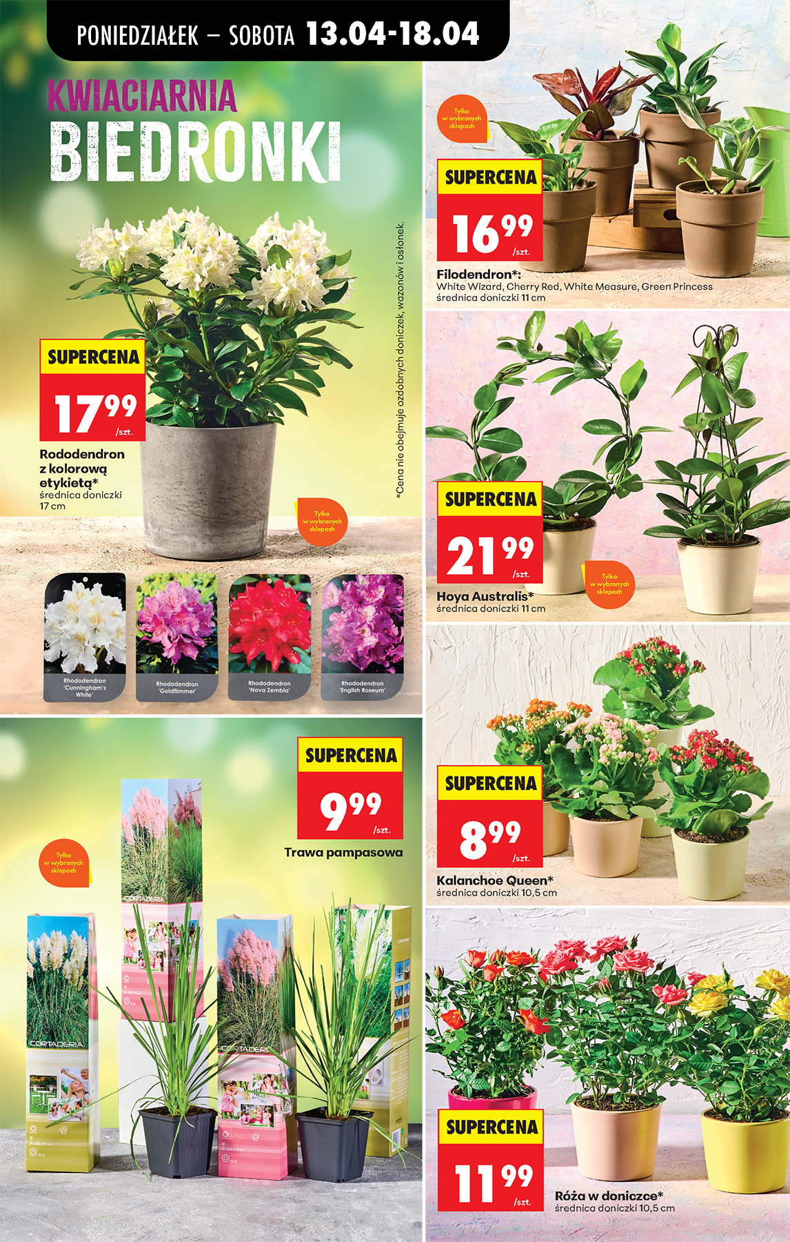 biedronka - Biedronka leták na příští týden od pondělí 13.04.2026 do soboty 18.04.2026 - page: 83