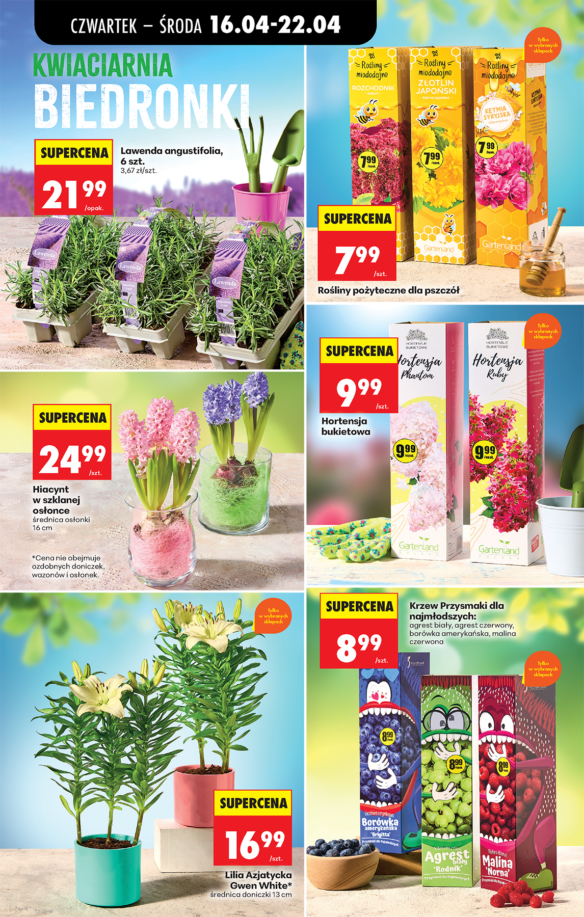 biedronka - Aktuální Biedronka leták platný od čtvrtka 16.04.2026 do středy 22.04.2026 - page: 43